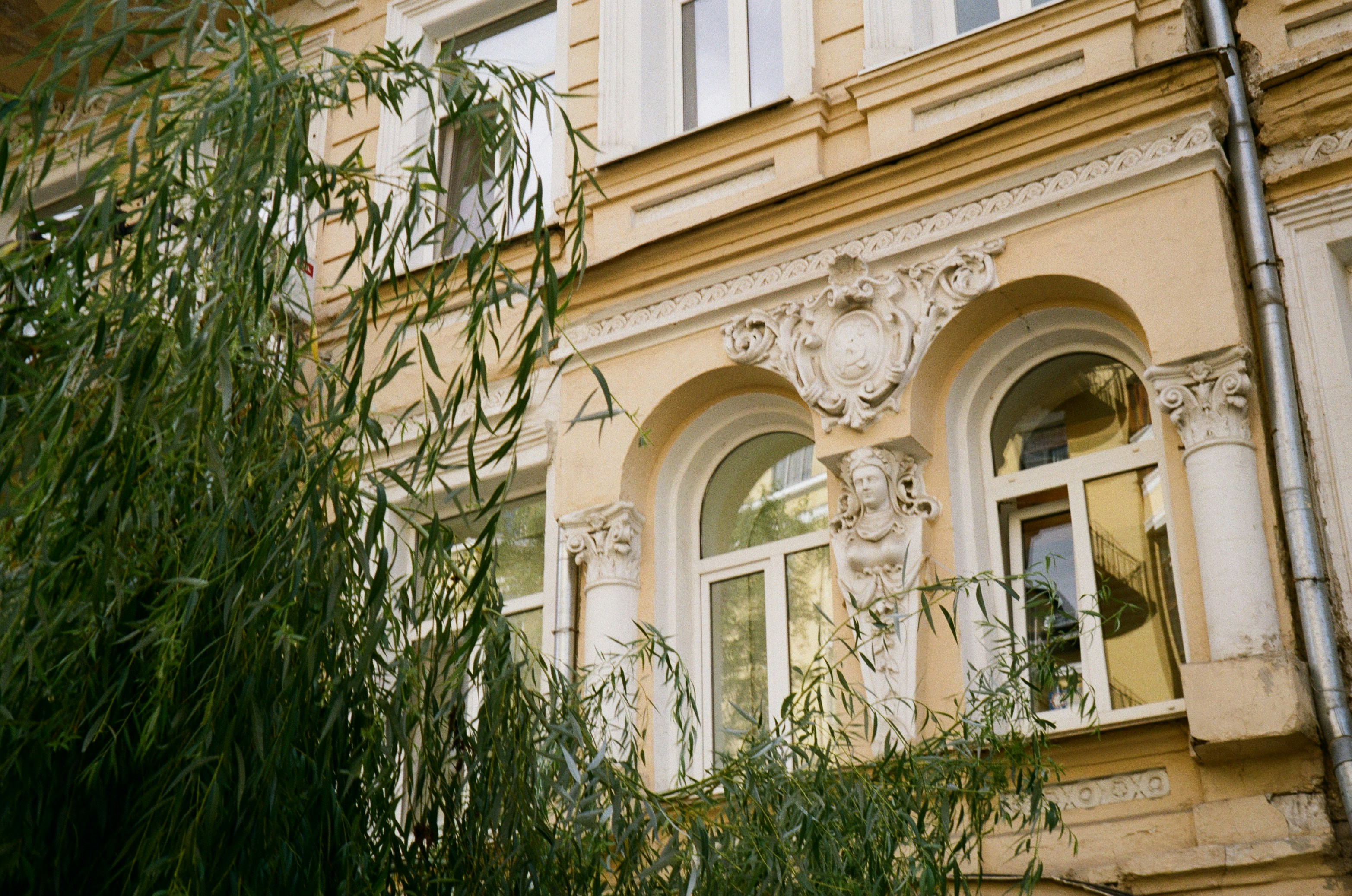 Photo by tania_ladanova