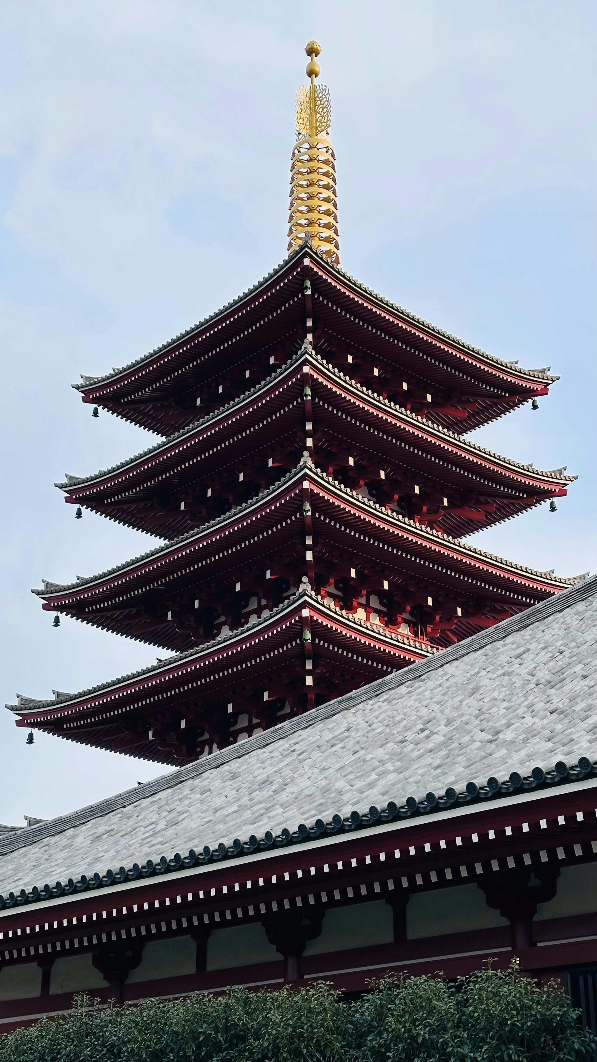 Photo by maartenscheer