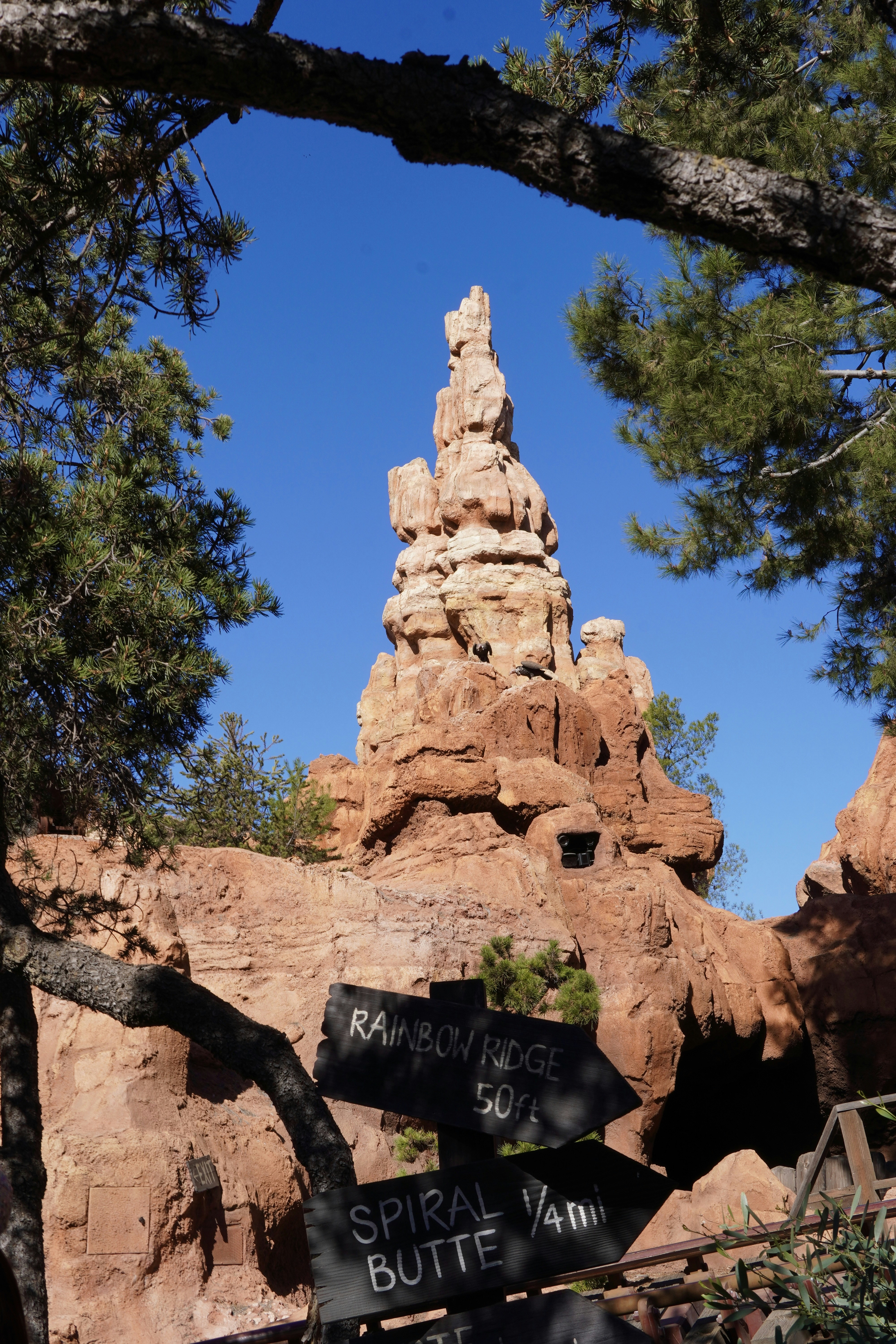 Photo by brettwharton