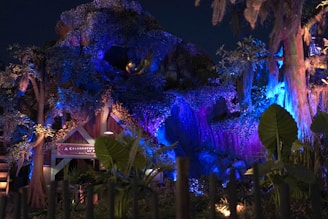 A night time scene of a tree house