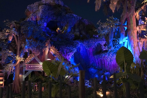 A night time scene of a tree house