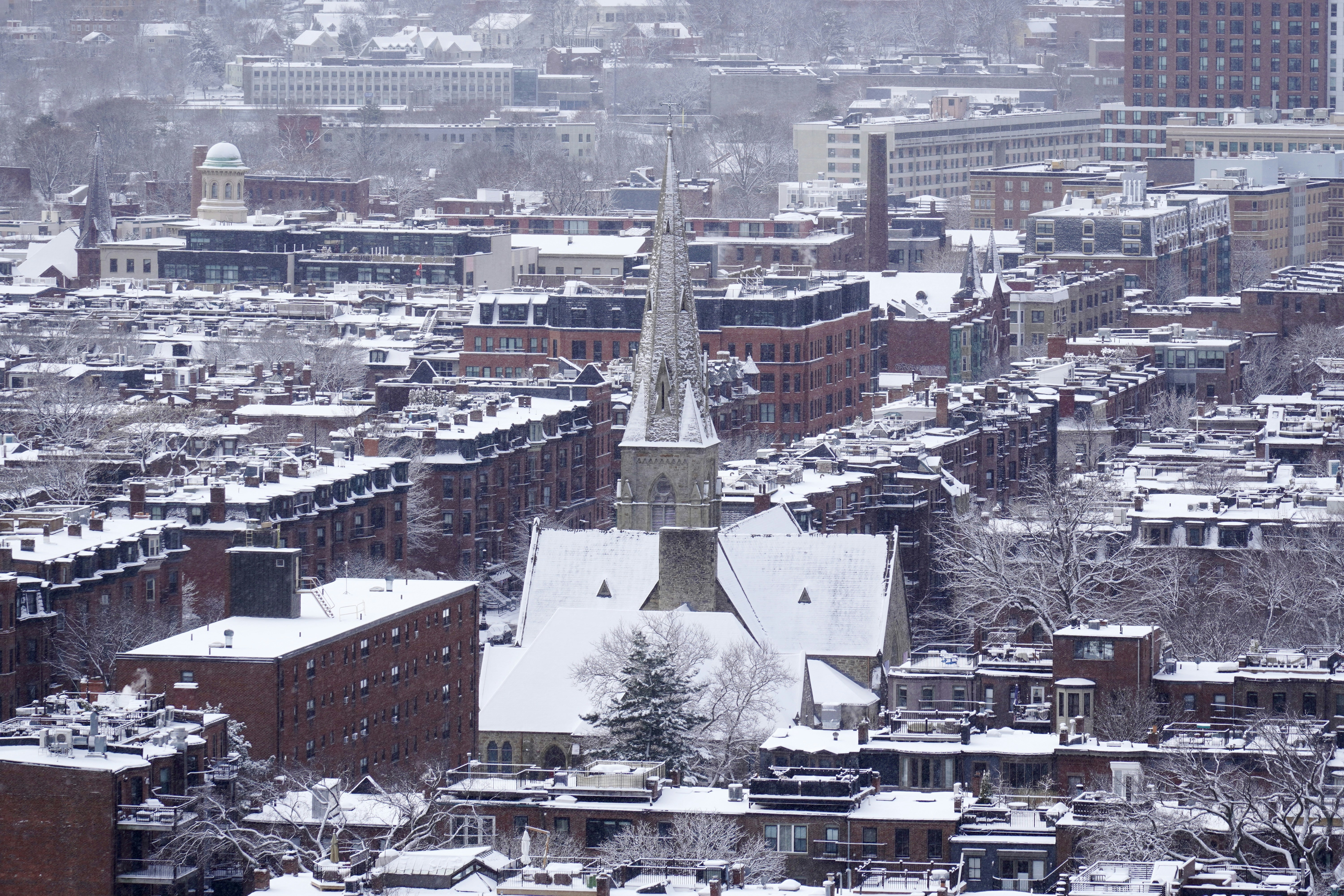 Sceptres Gameday: Toronto @ Boston