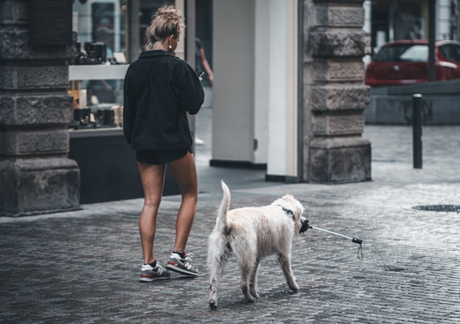 A woman walking a dog on a leash down a street