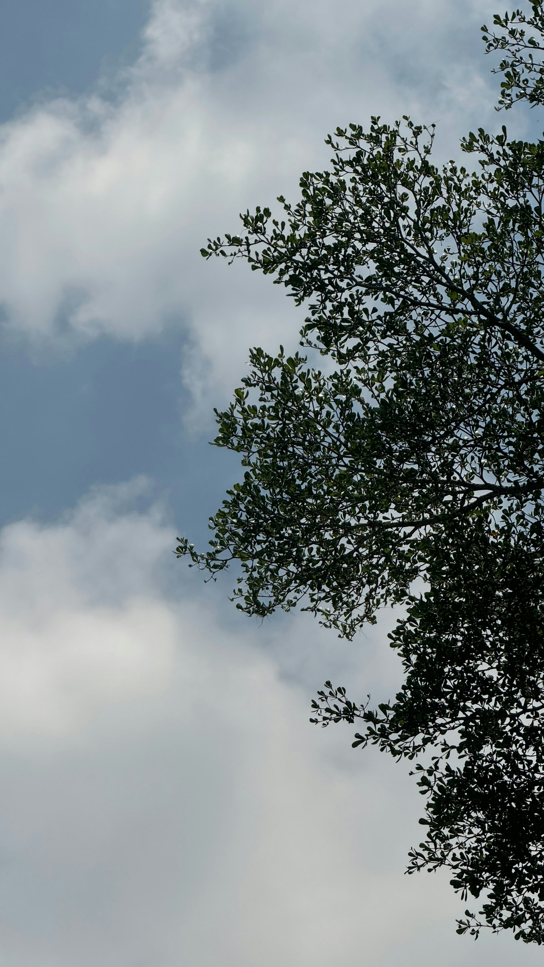 Photo by bharathvarakala