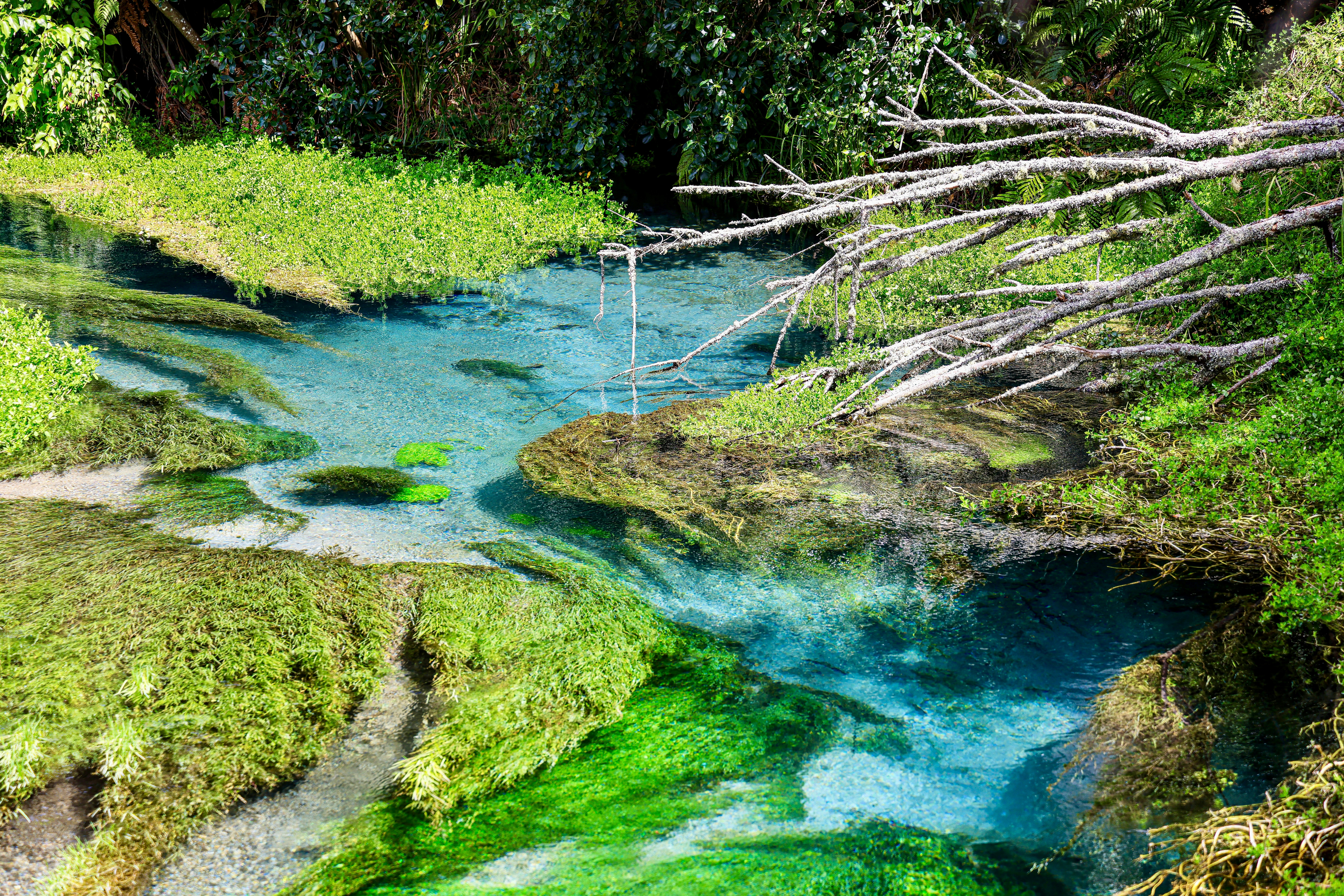 Photo by maximilian_brand