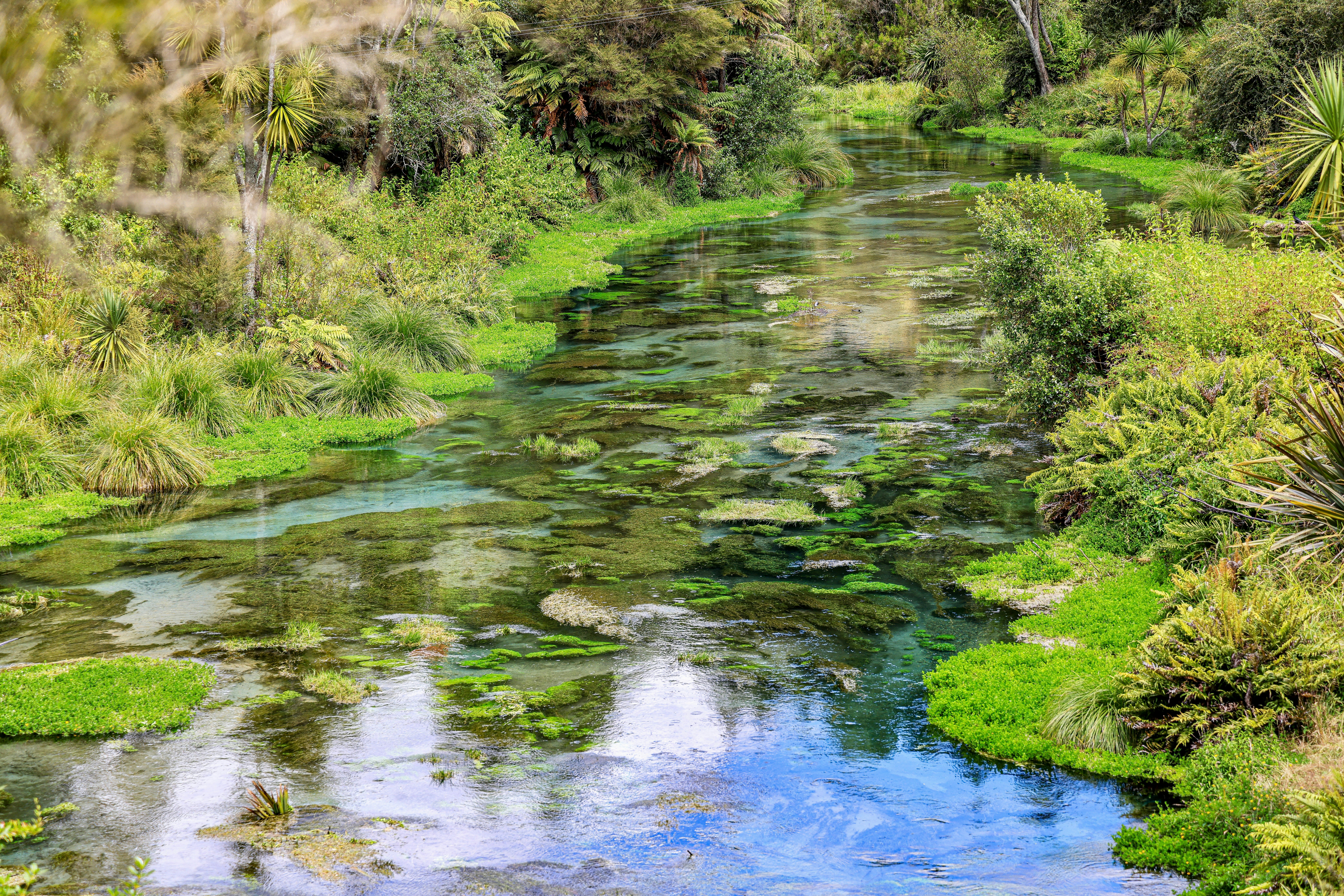 Photo by maximilian_brand