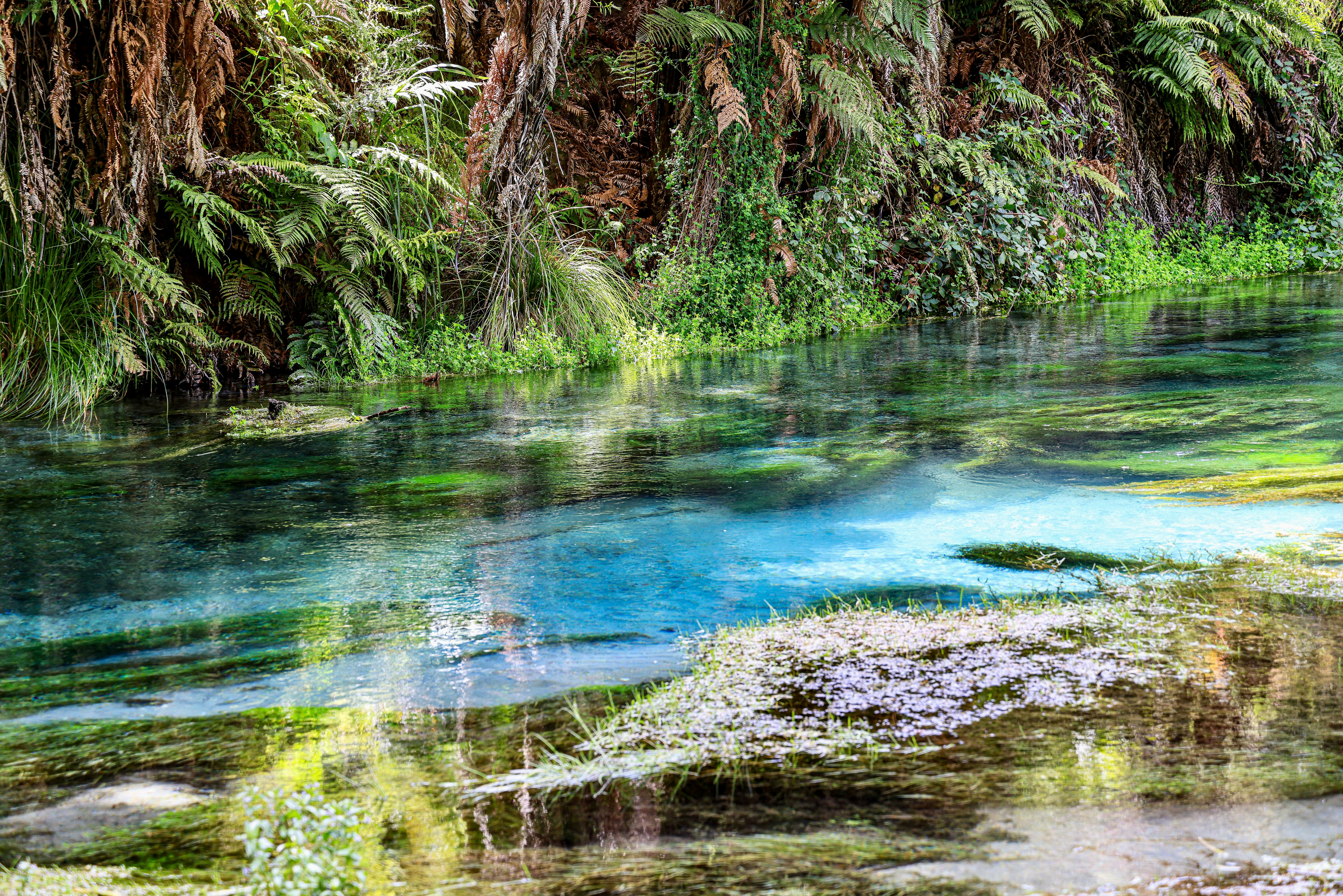 Photo by maximilian_brand