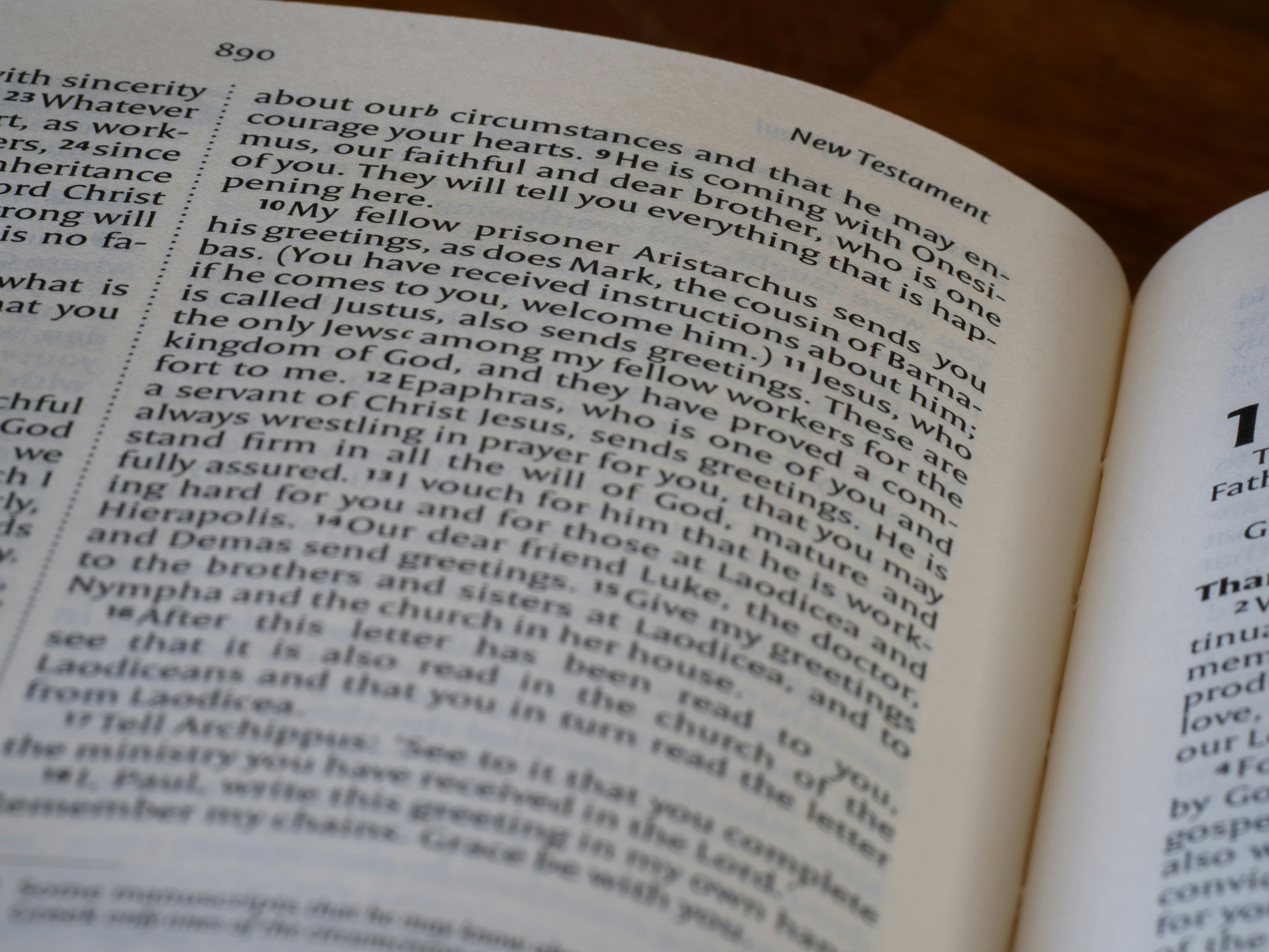 Photo by brett_jordan