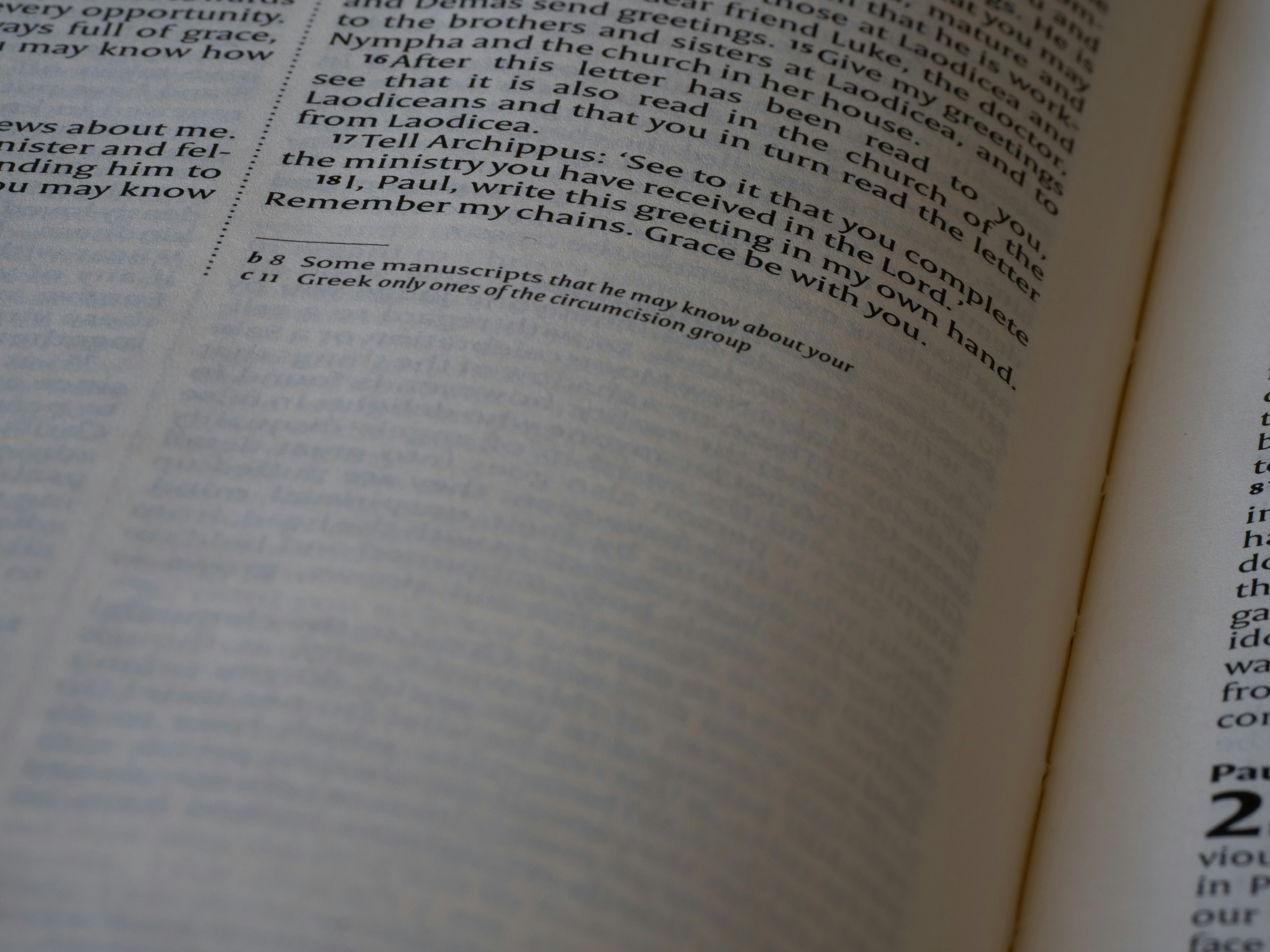 A well-structured Notion page with various headings