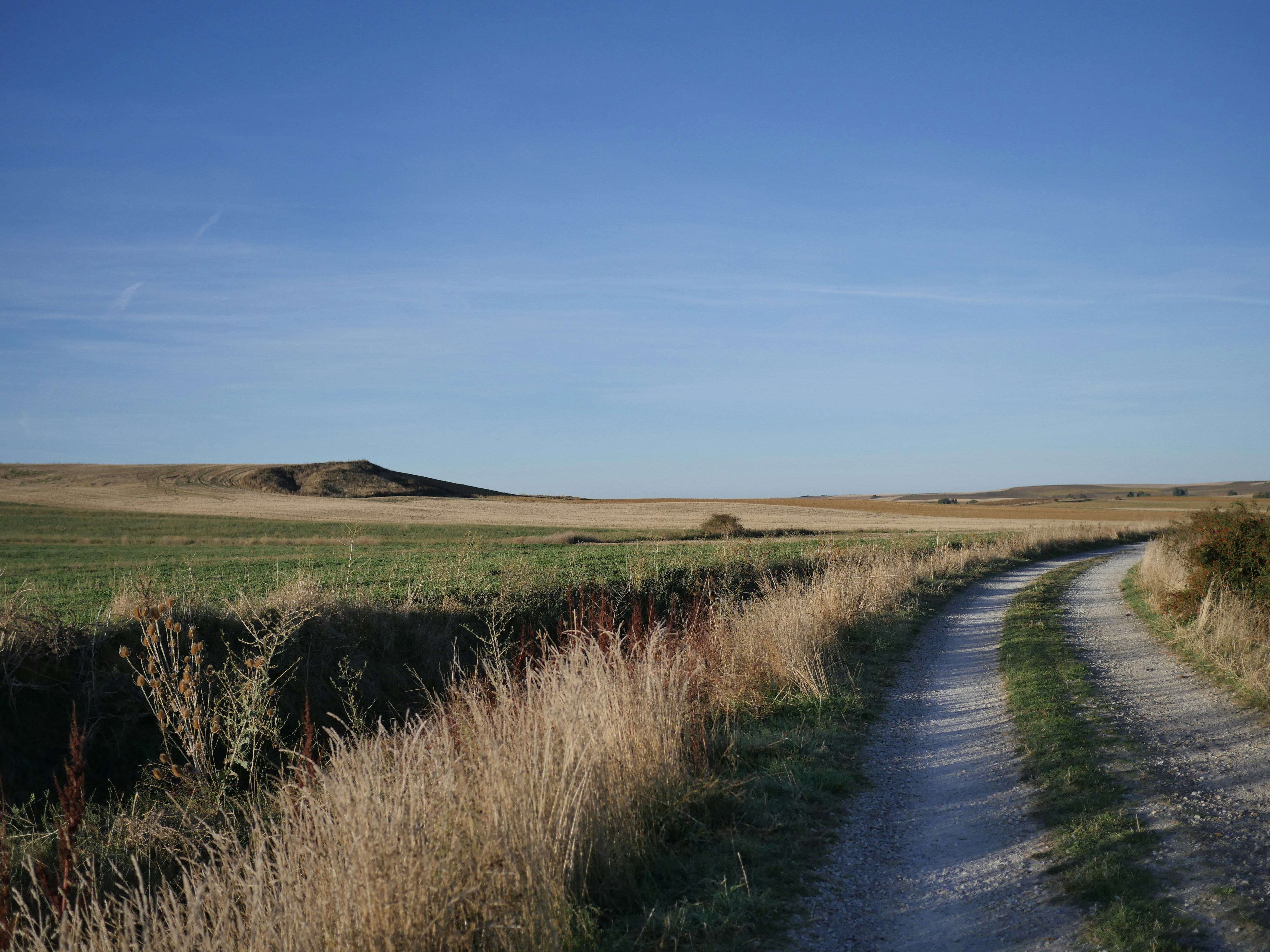 Photo by matthieuharreau