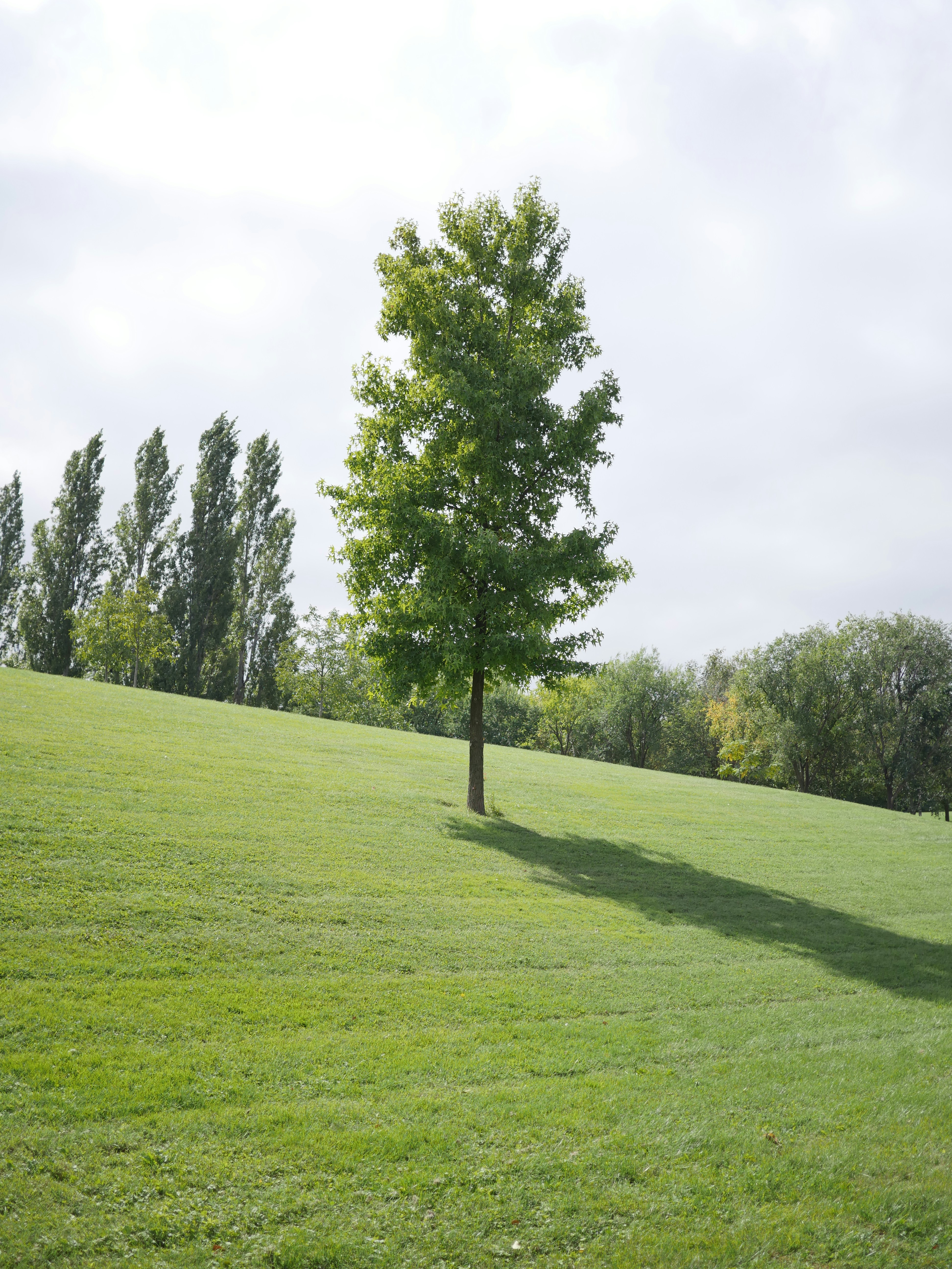 Photo by matthieuharreau