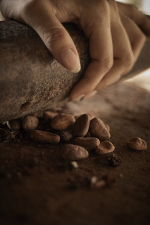 A person is putting nuts on a rock