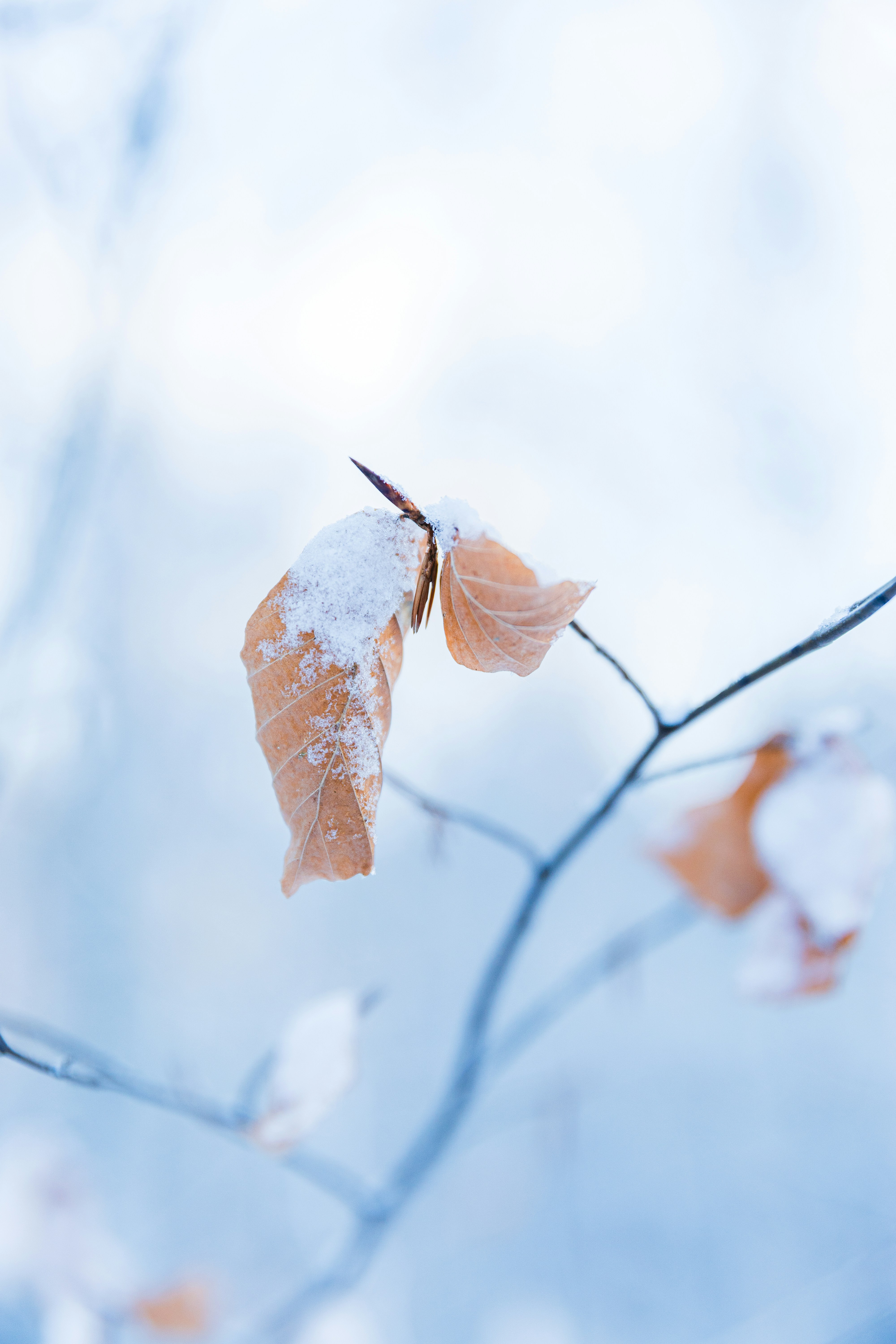Photo by eisner