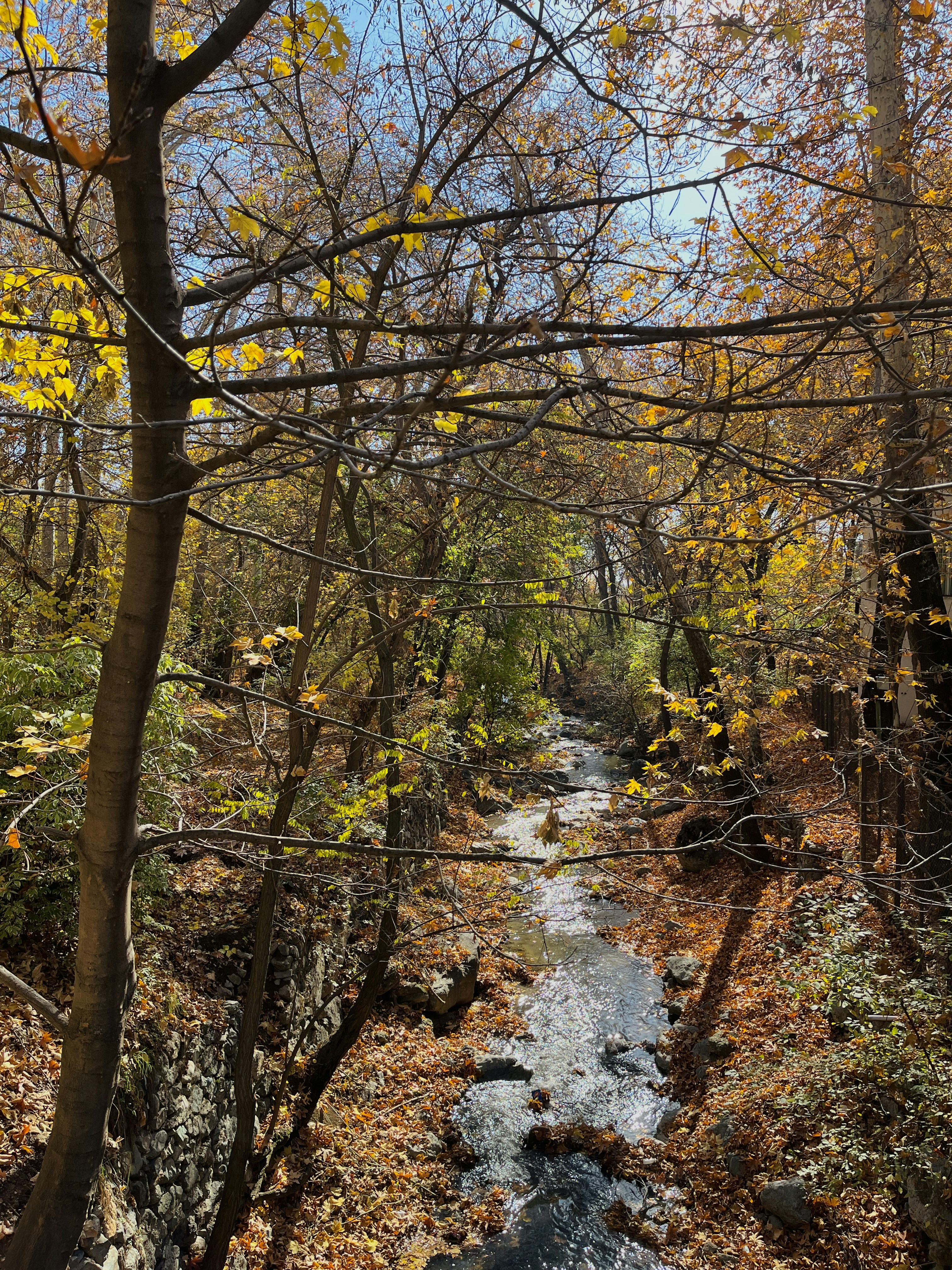 Photo by kimia_pakrah