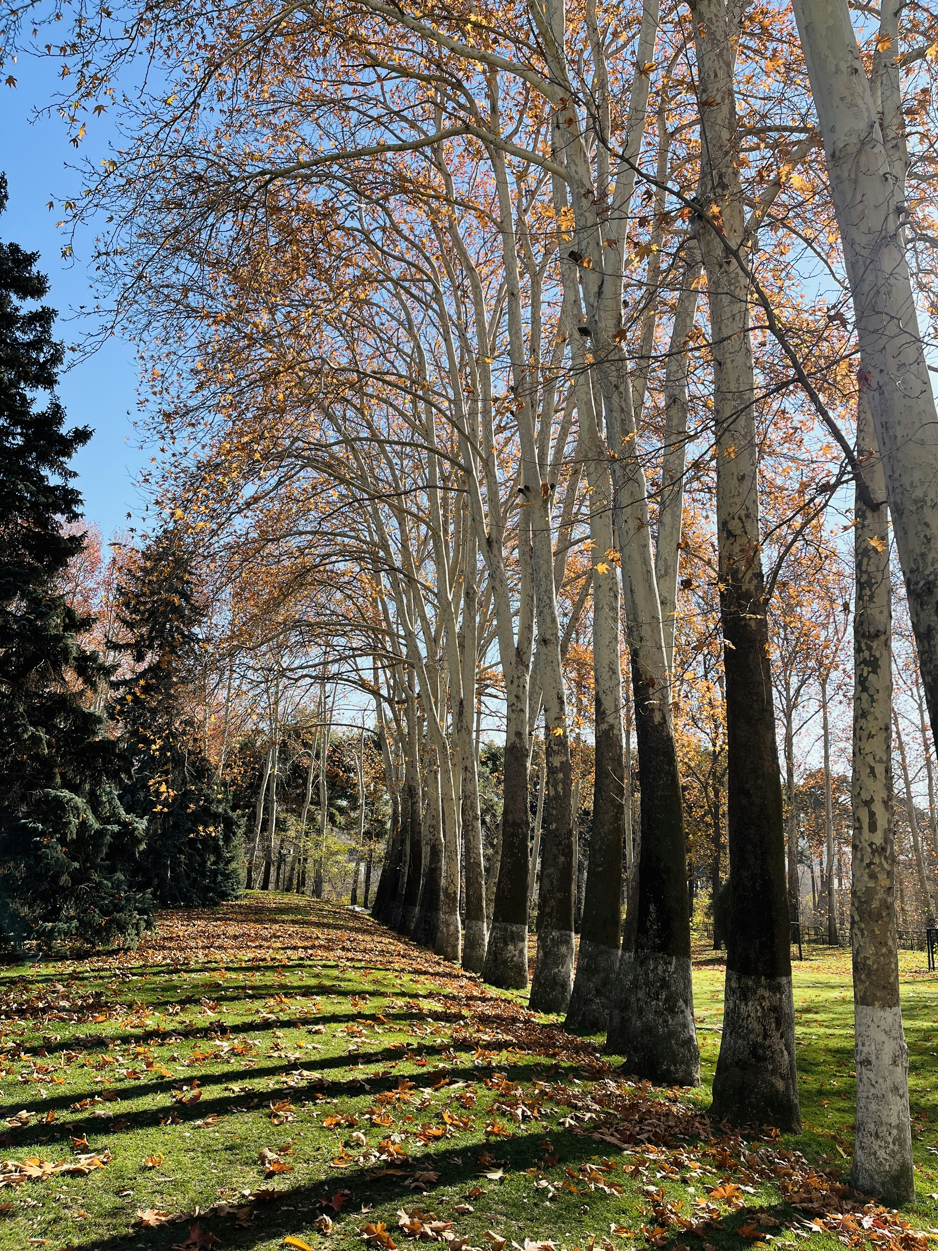 Photo by kimia_pakrah