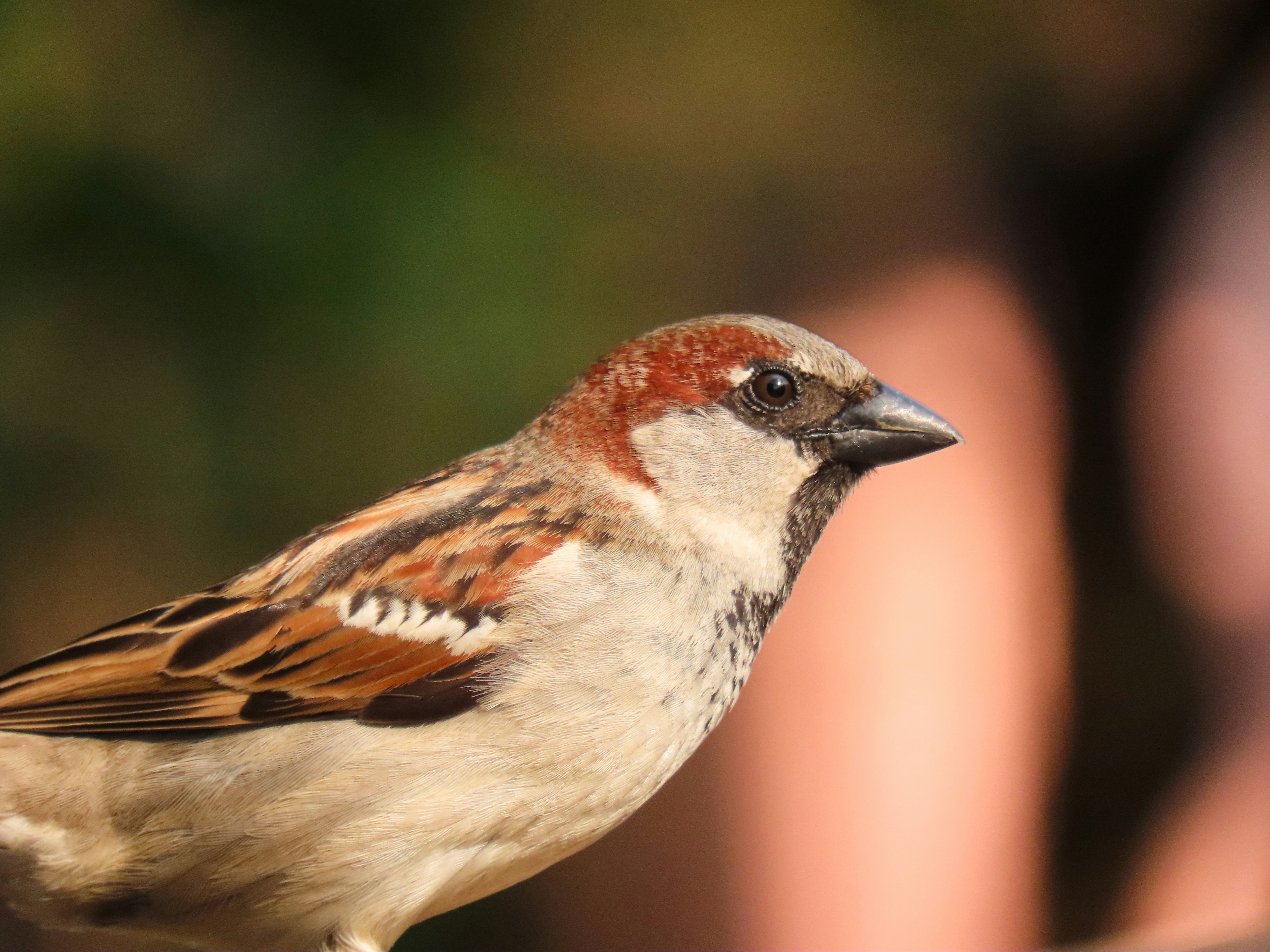 Photo by patricianicoloso