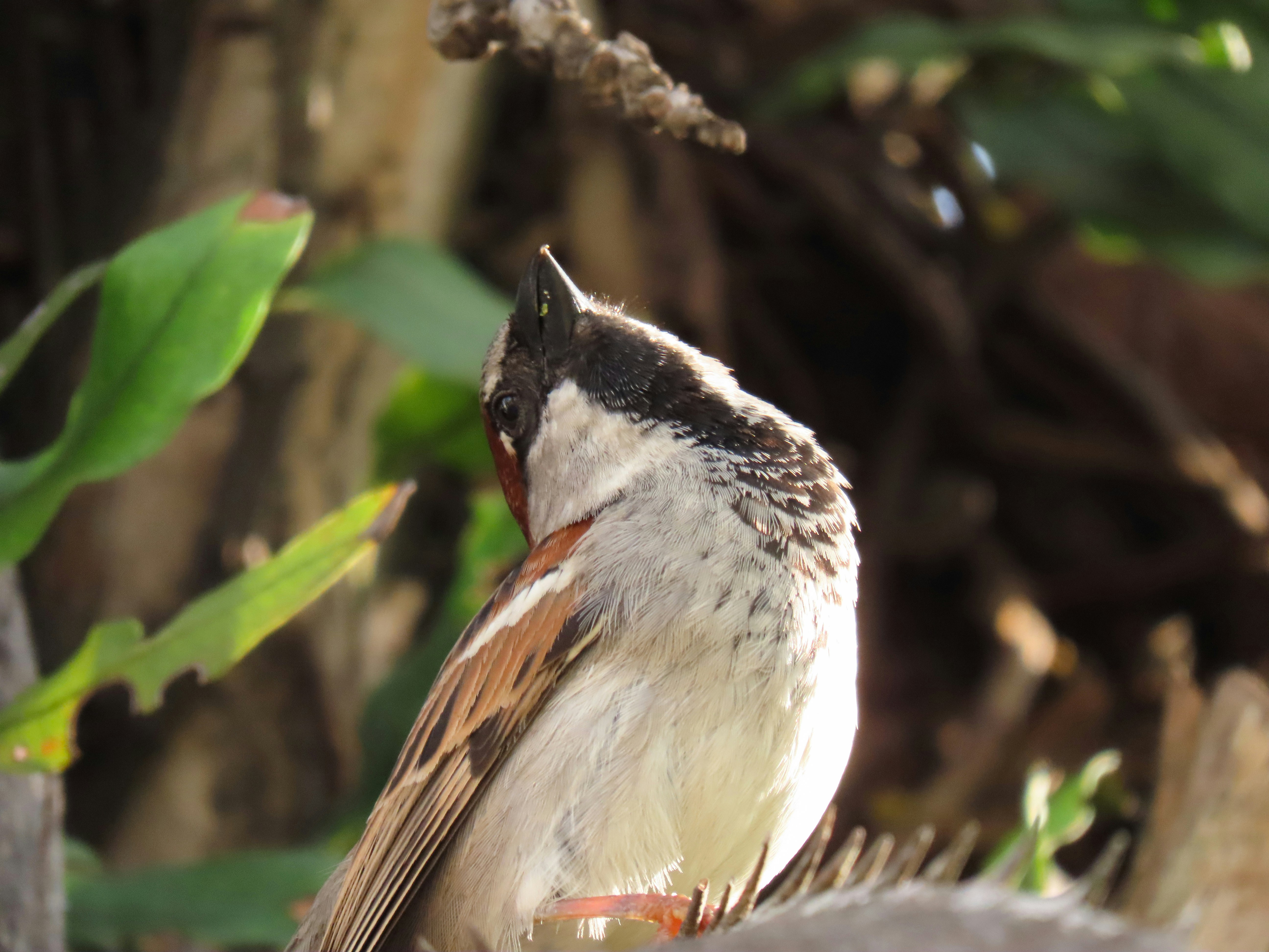 Photo by patricianicoloso