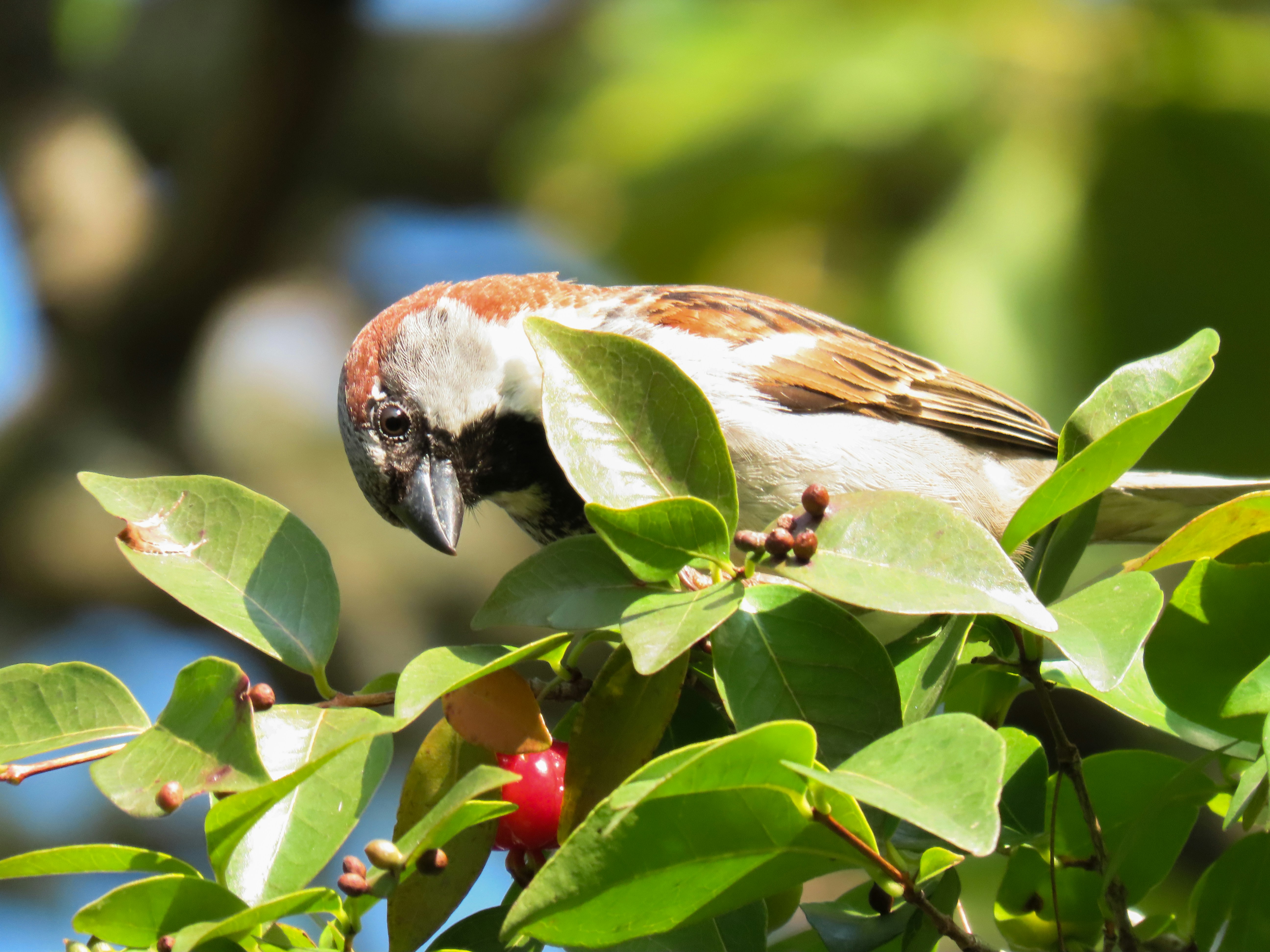 Photo by patricianicoloso