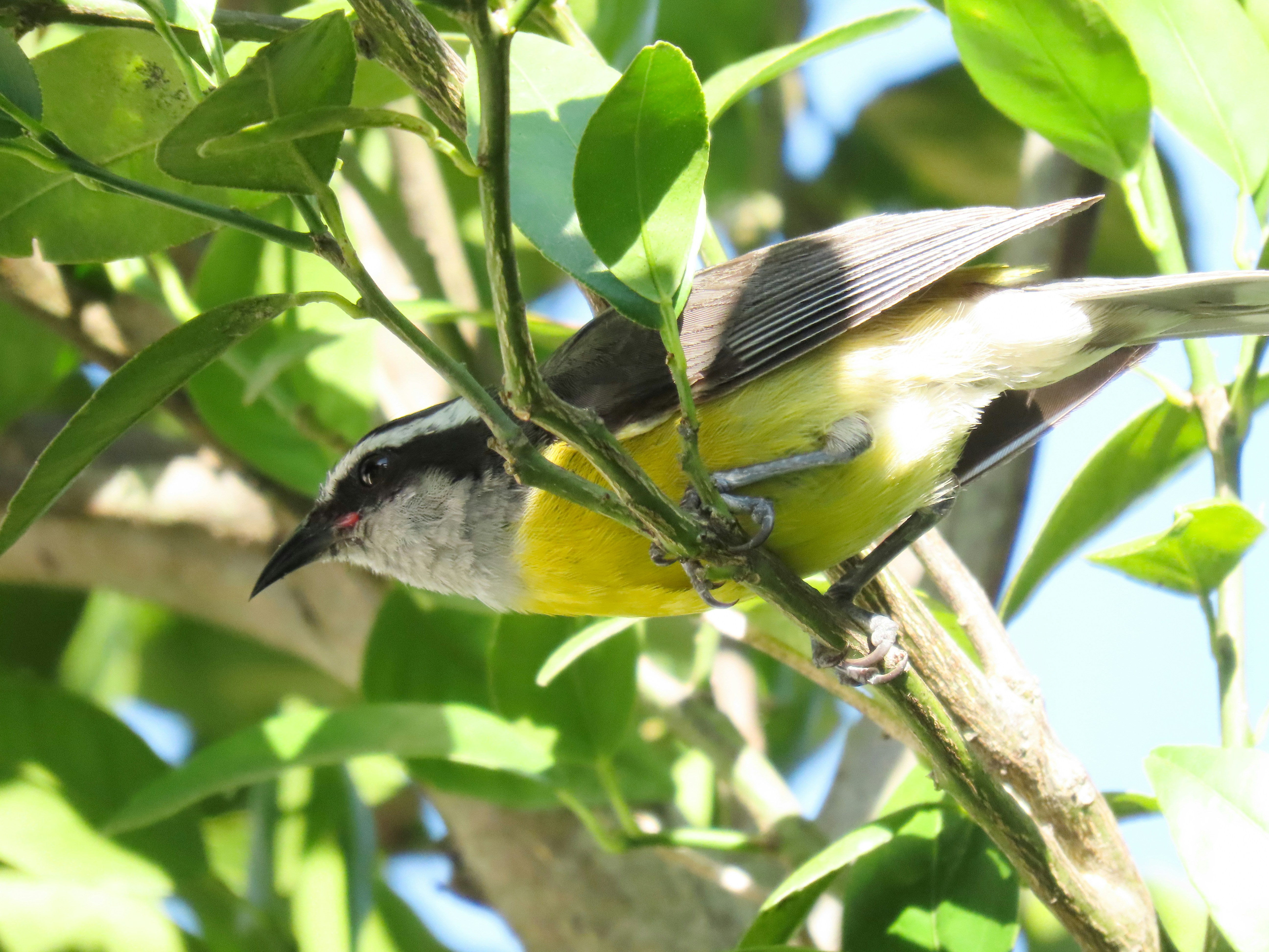 Photo by patricianicoloso