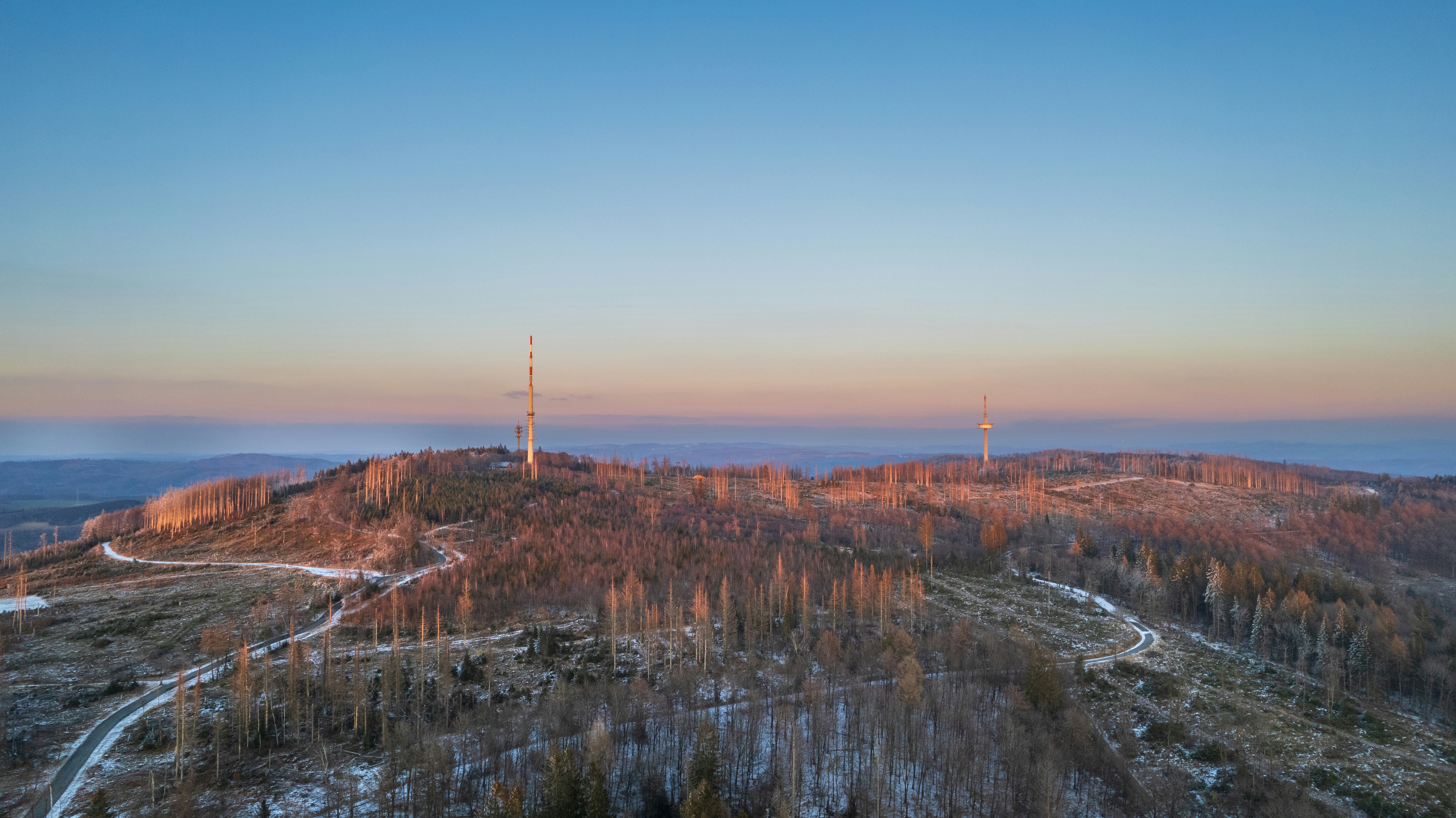 An aerial view of a forest with a mountain in the background