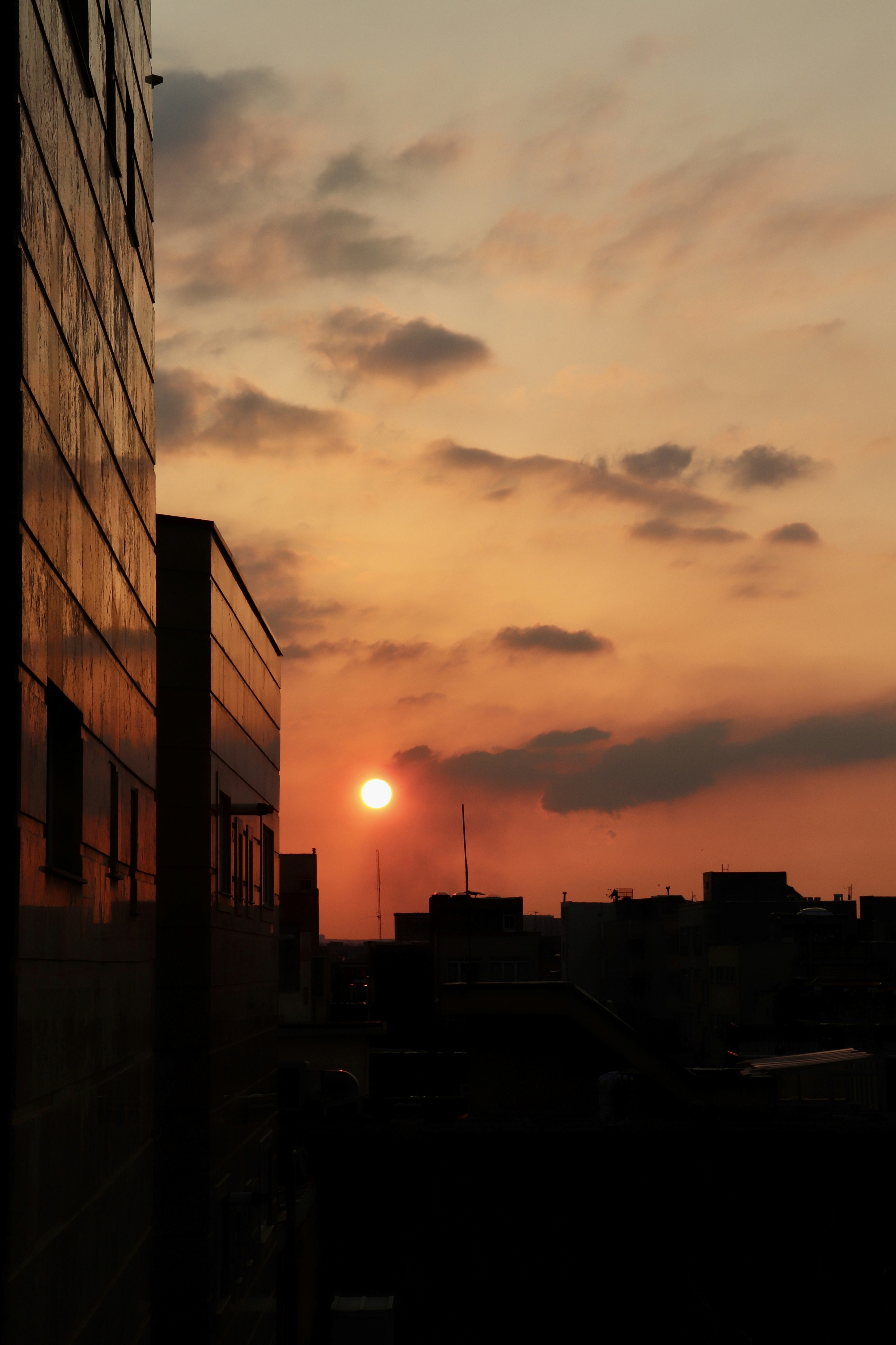 Photo by sevda_afshar