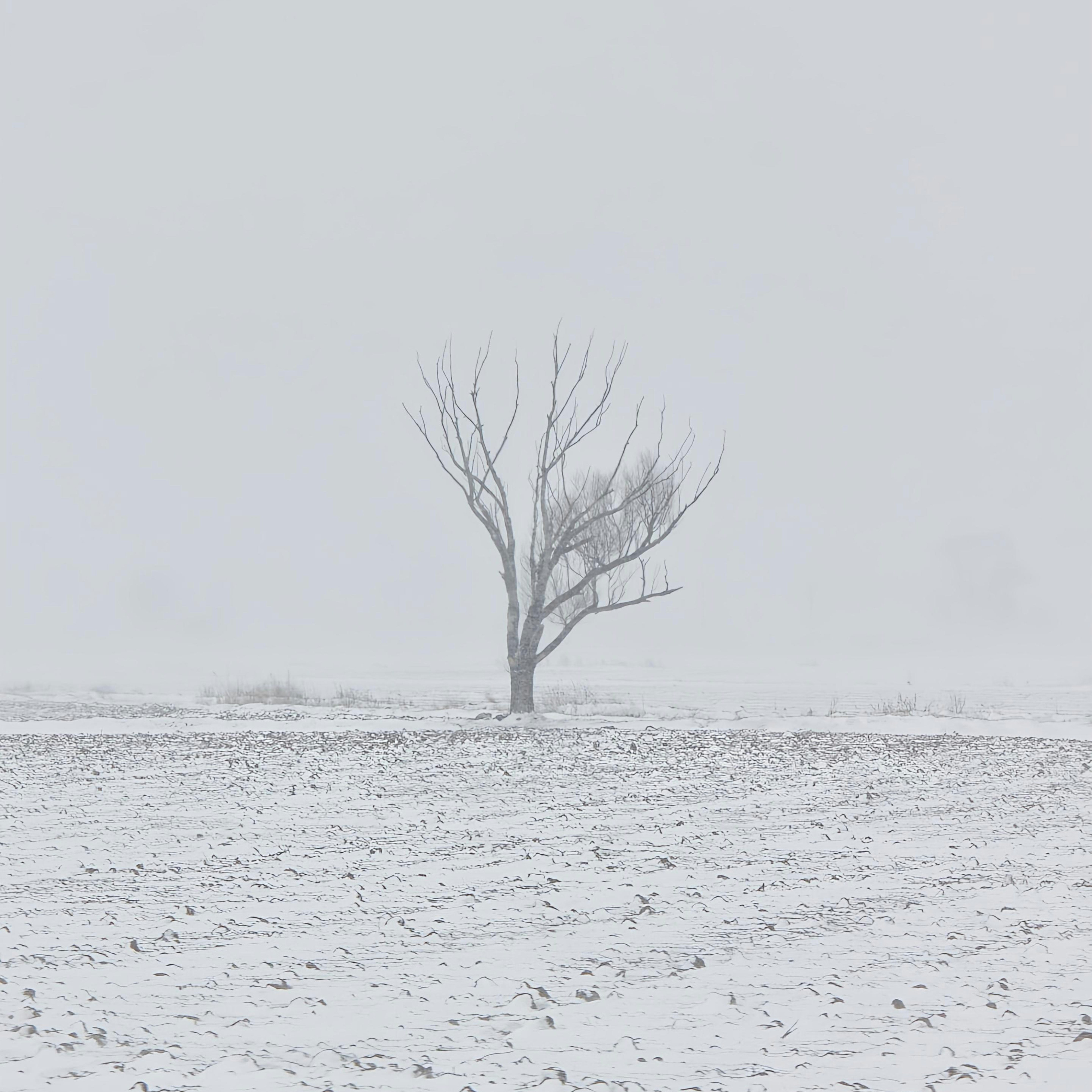 Photo by moradimaghsoud