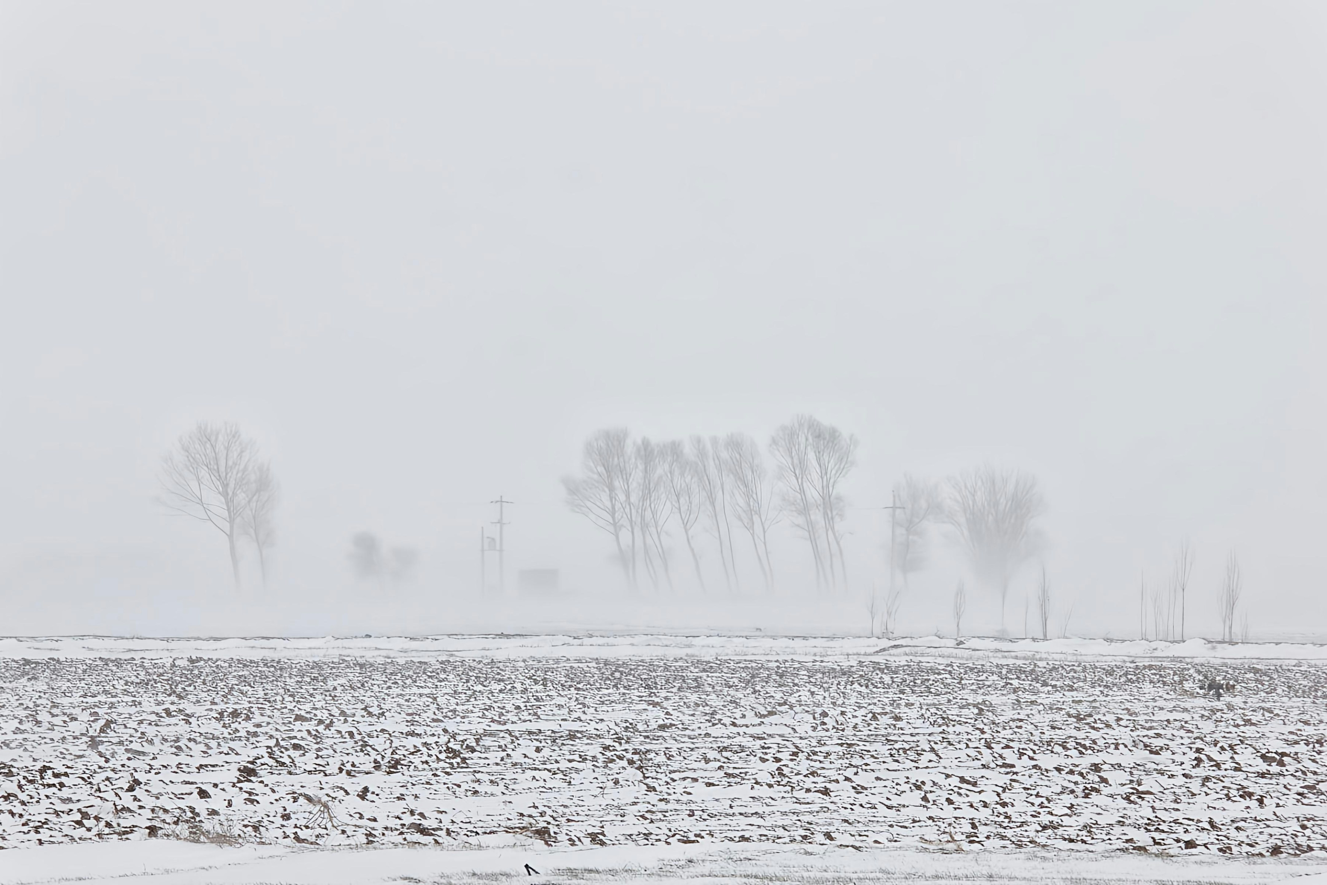 Photo by moradimaghsoud