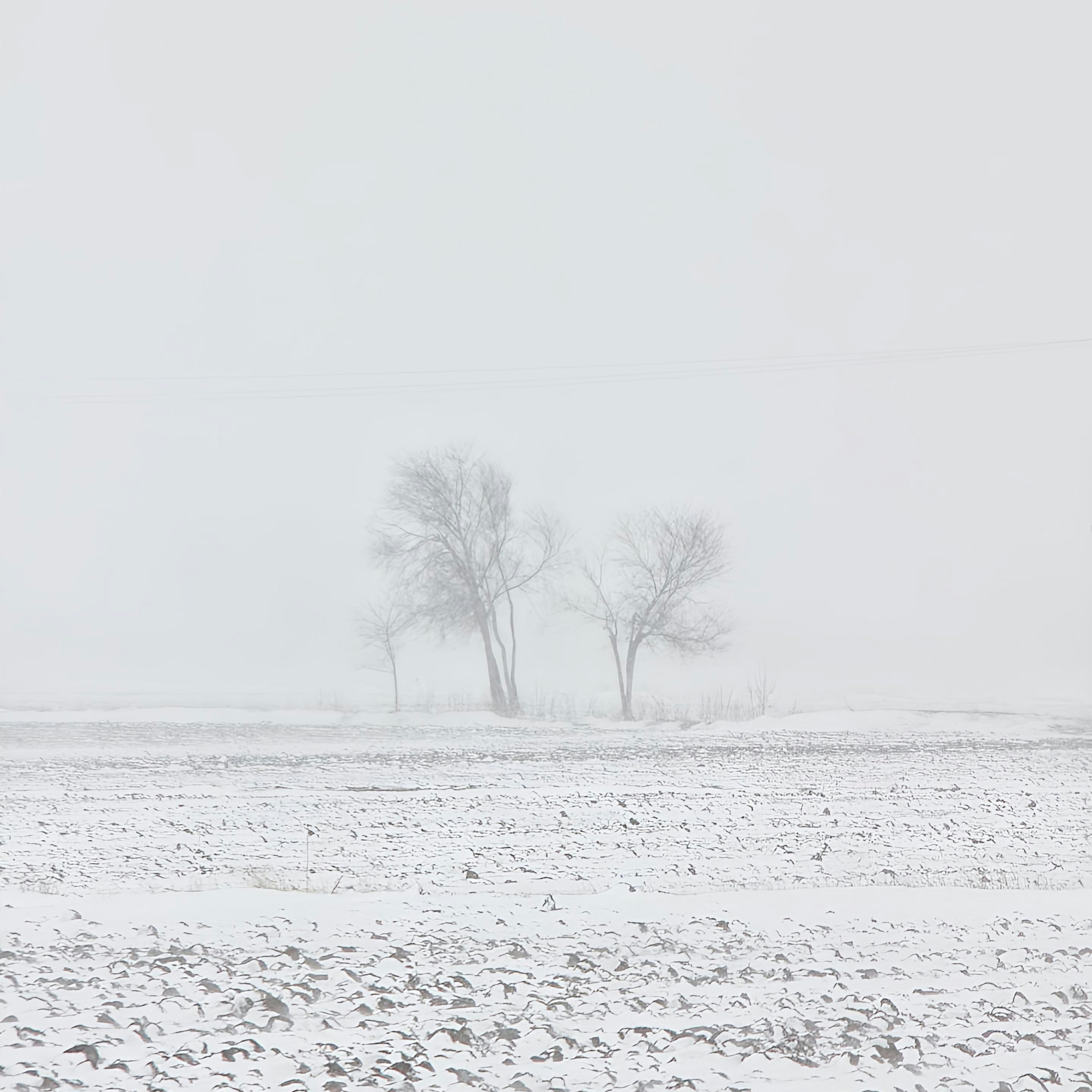 Photo by moradimaghsoud