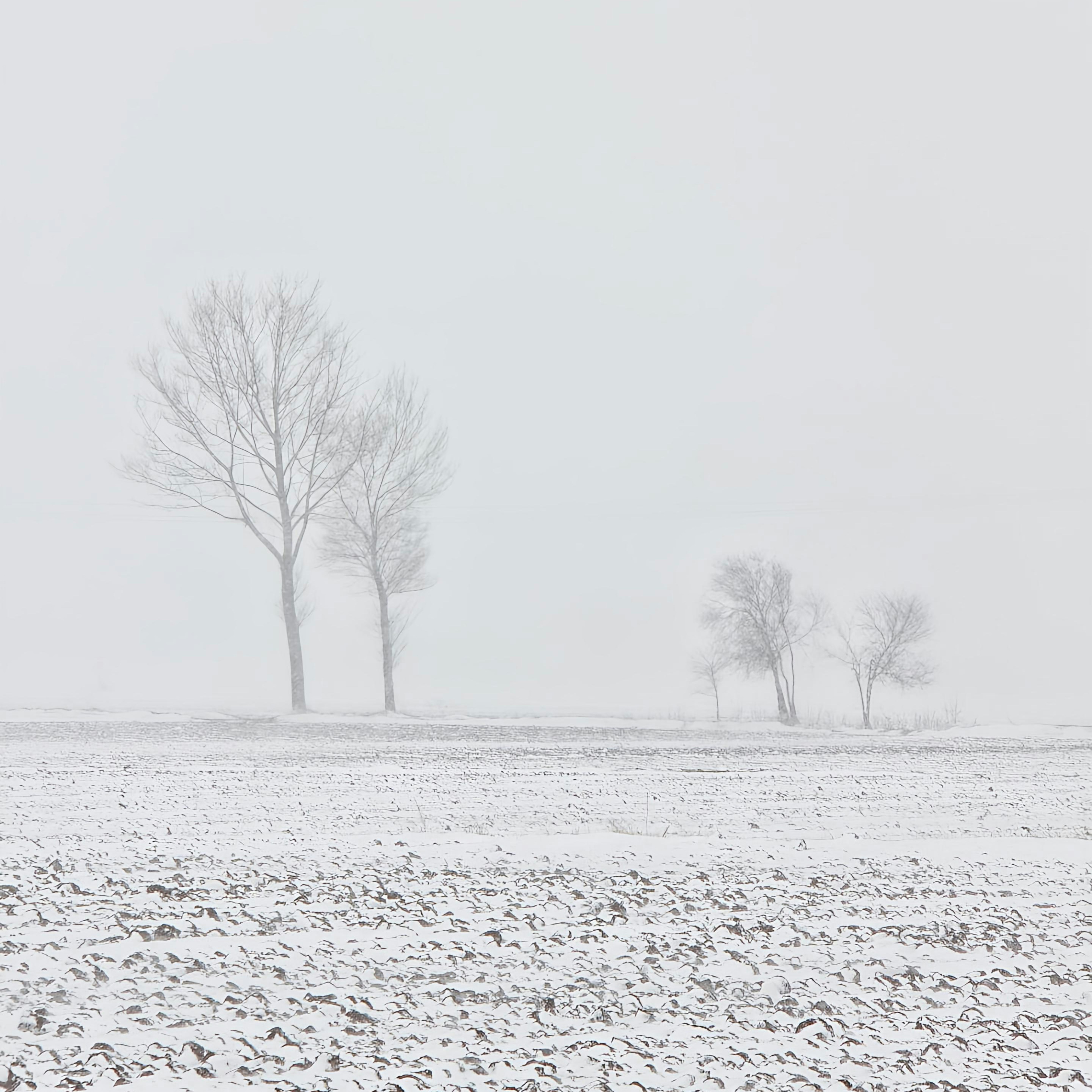 Photo by moradimaghsoud