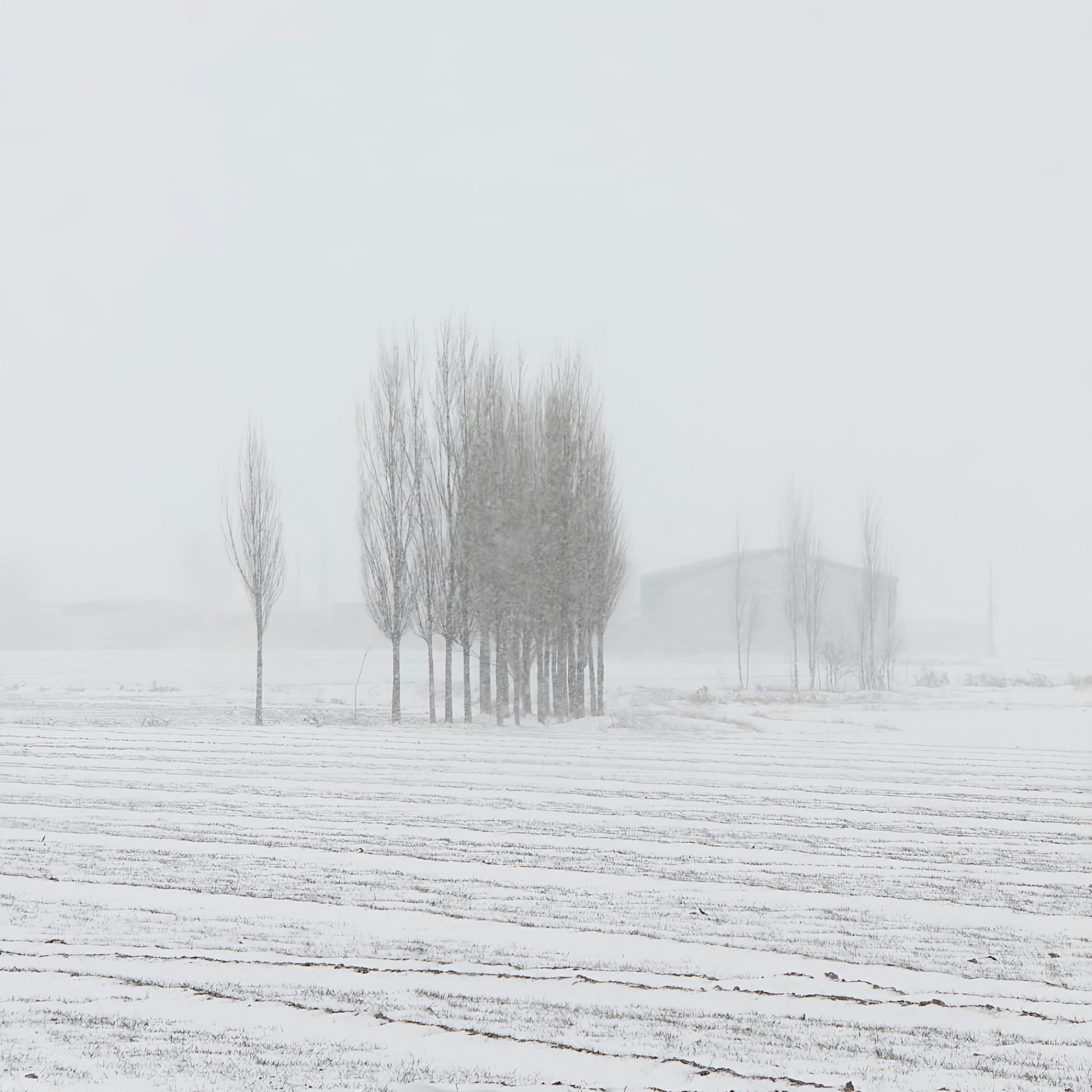 A snow covered field with trees in the distance