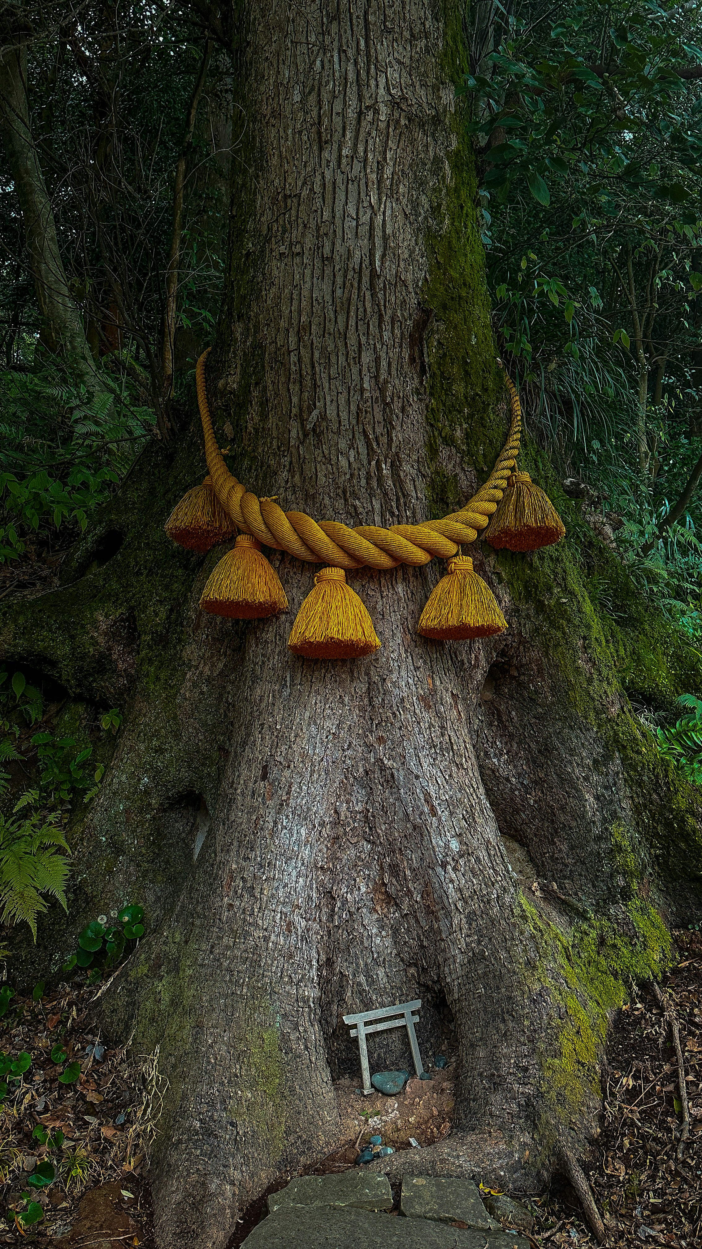 A tree trunk with yellow decorations on it