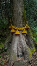 A tree trunk with yellow decorations on it