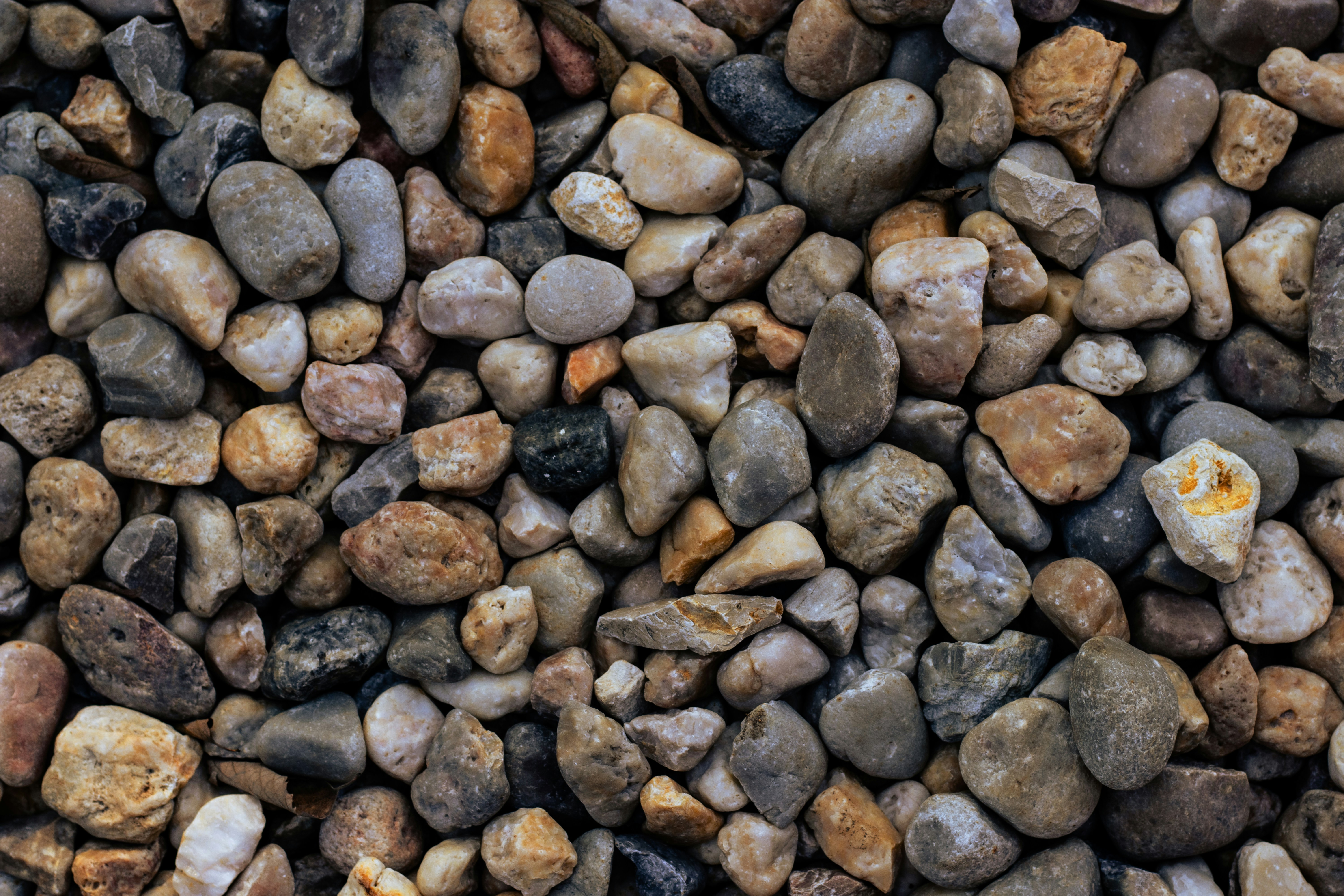 Photo by ana_fragoso