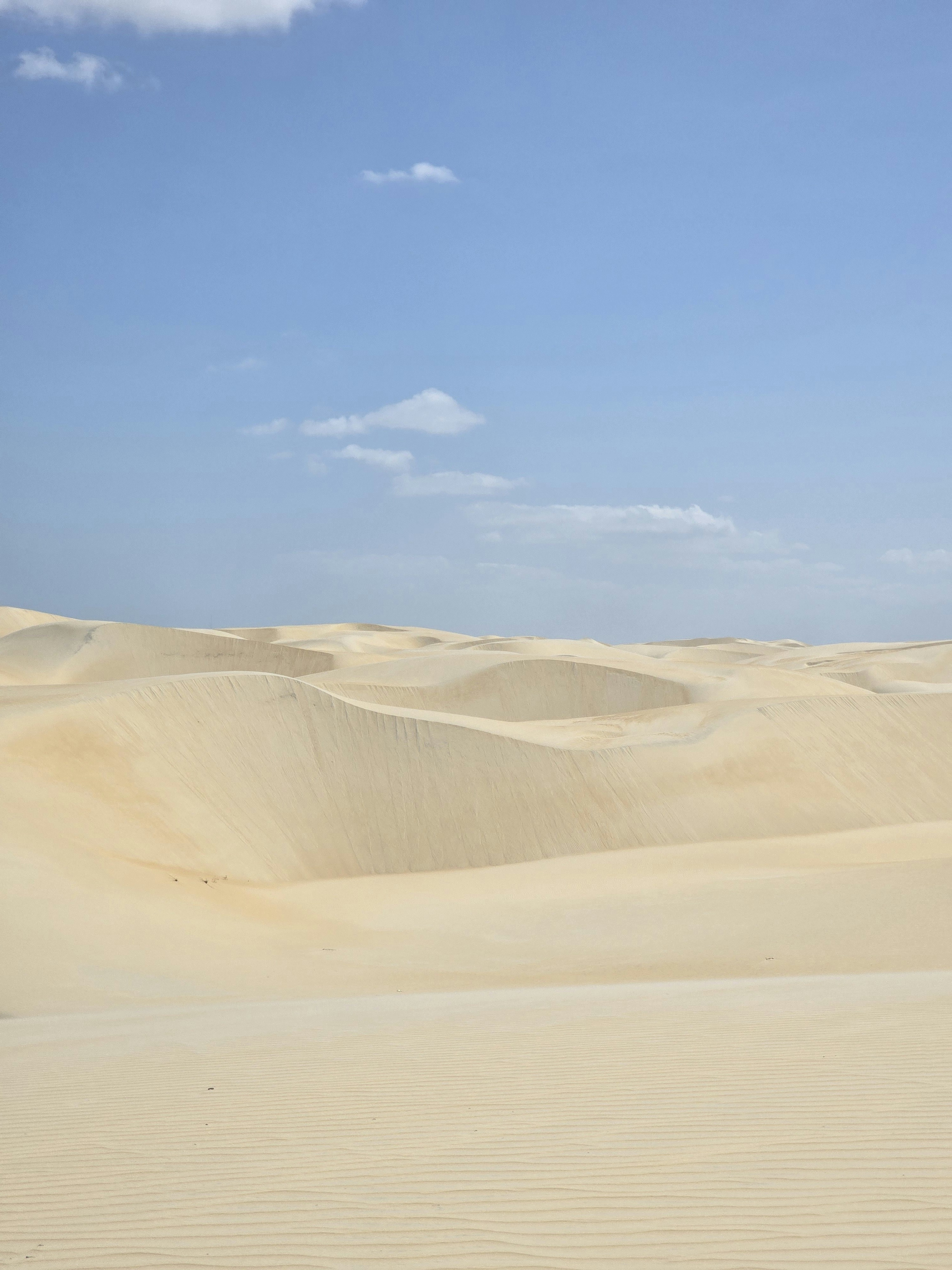 Photo by matheushohl