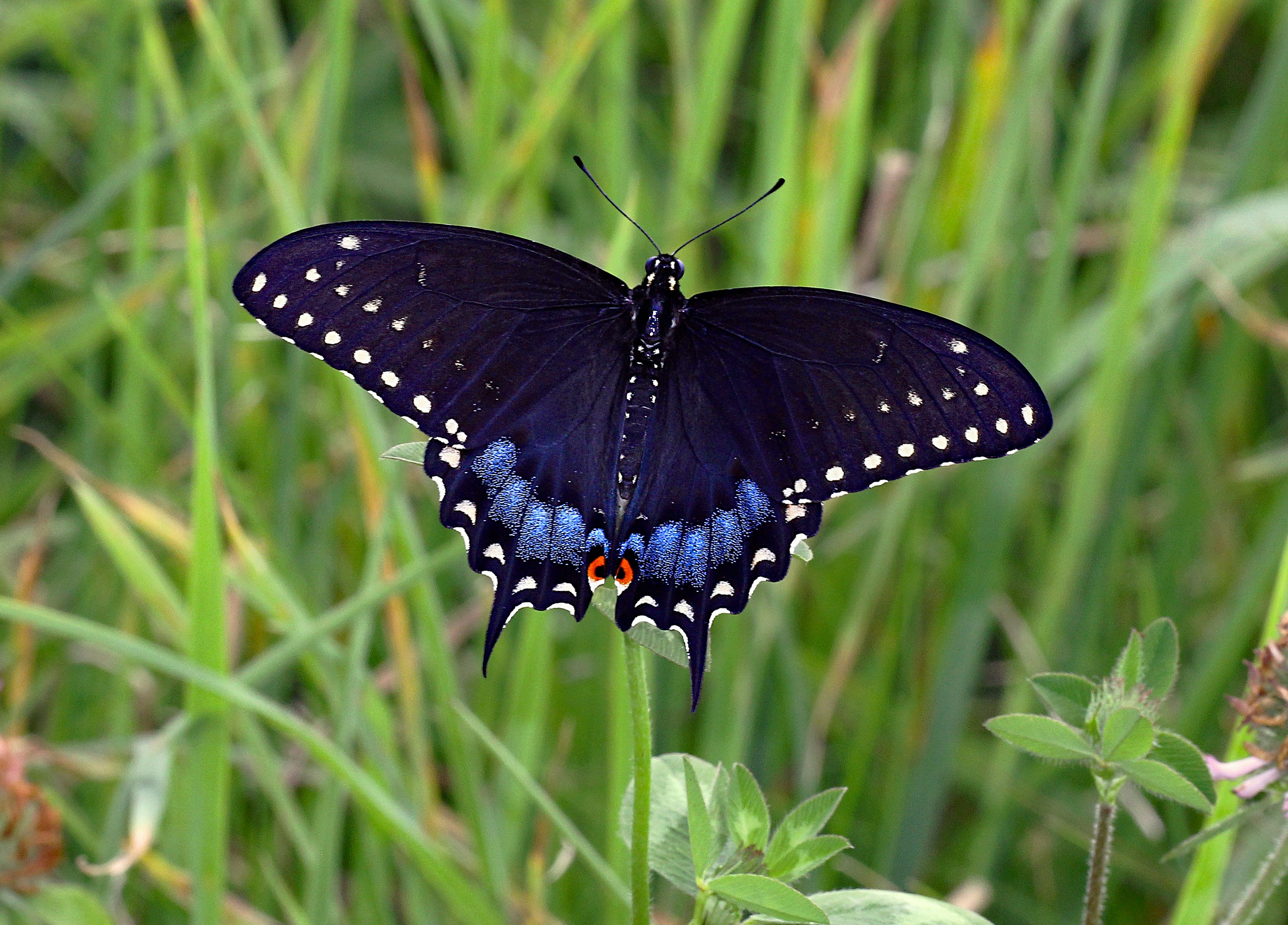 Photo by telliottmbamsc