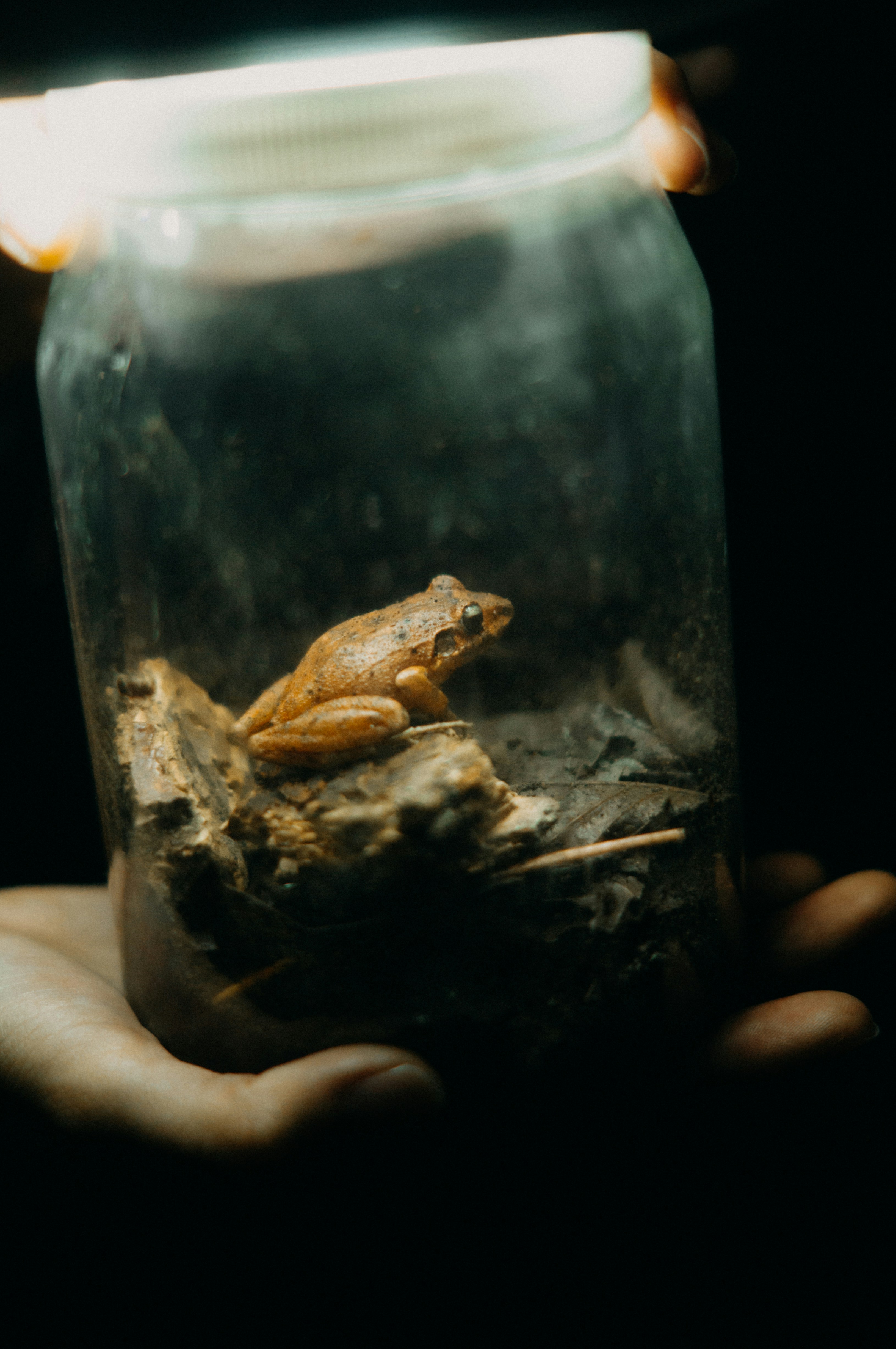 Photo by milo_contreras