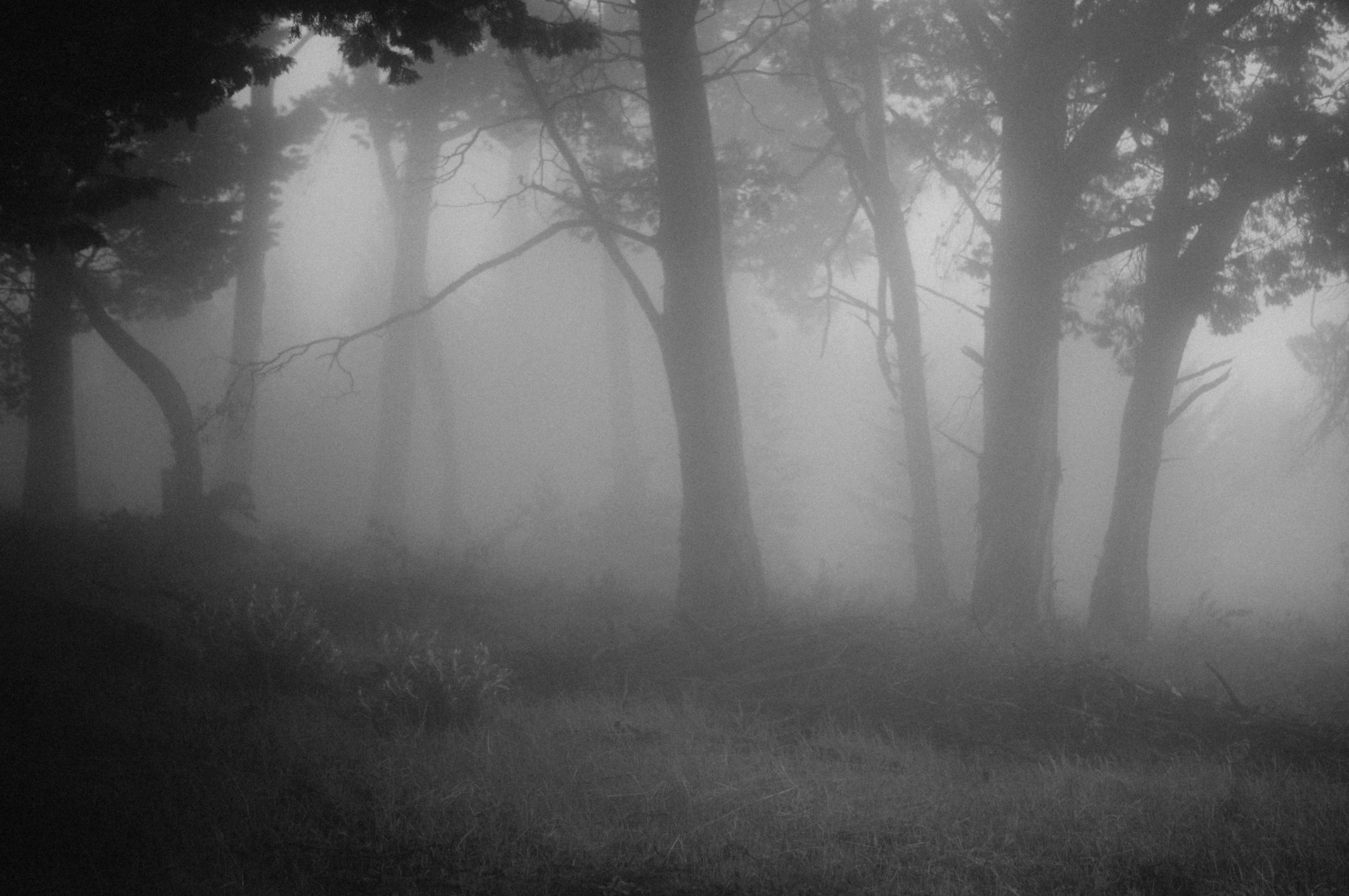 Photo by milo_contreras