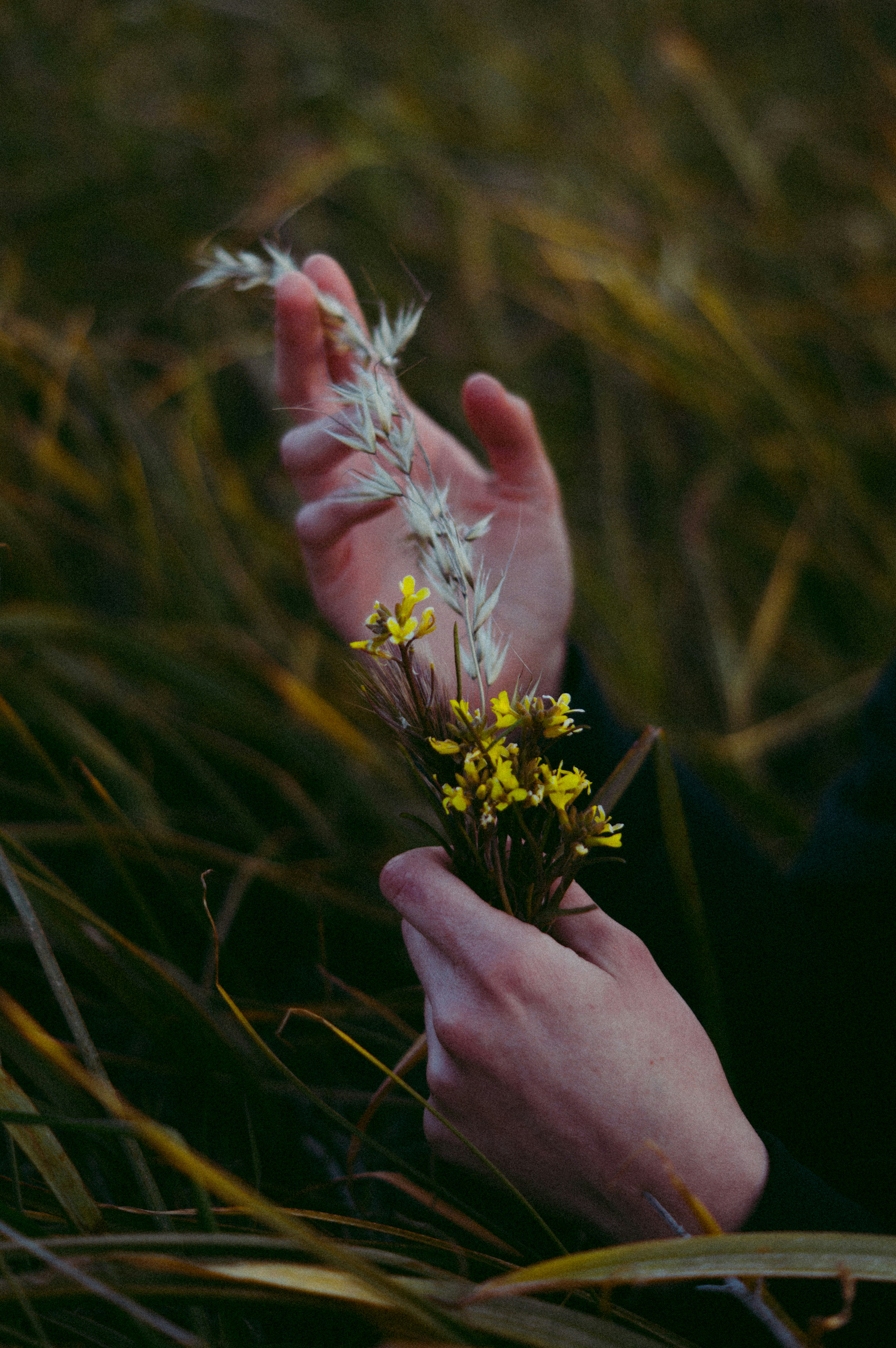 Photo by milo_contreras