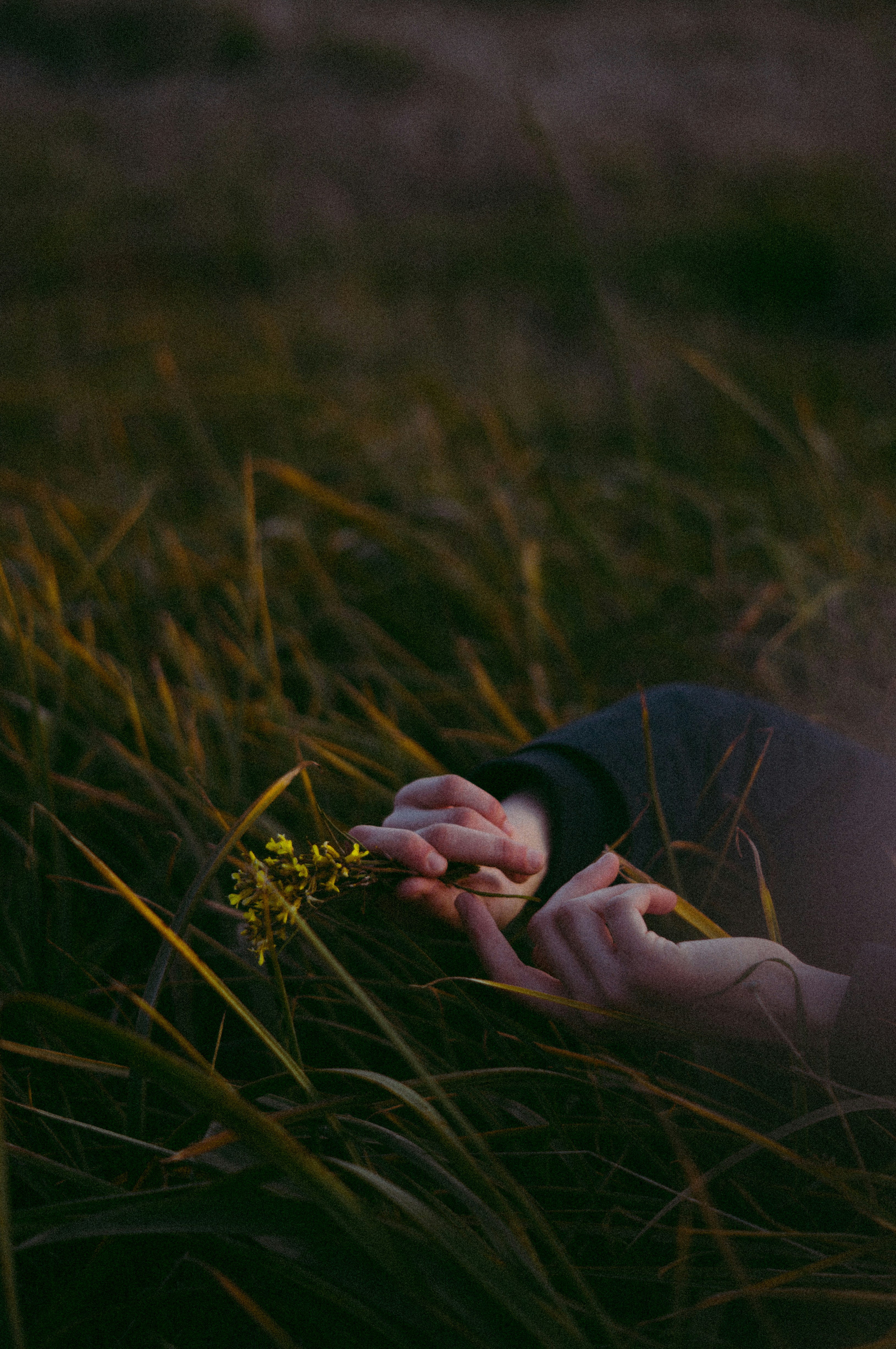 Photo by milo_contreras