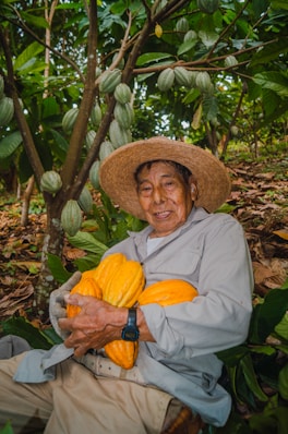 A man sitting in a tree holding a large banana