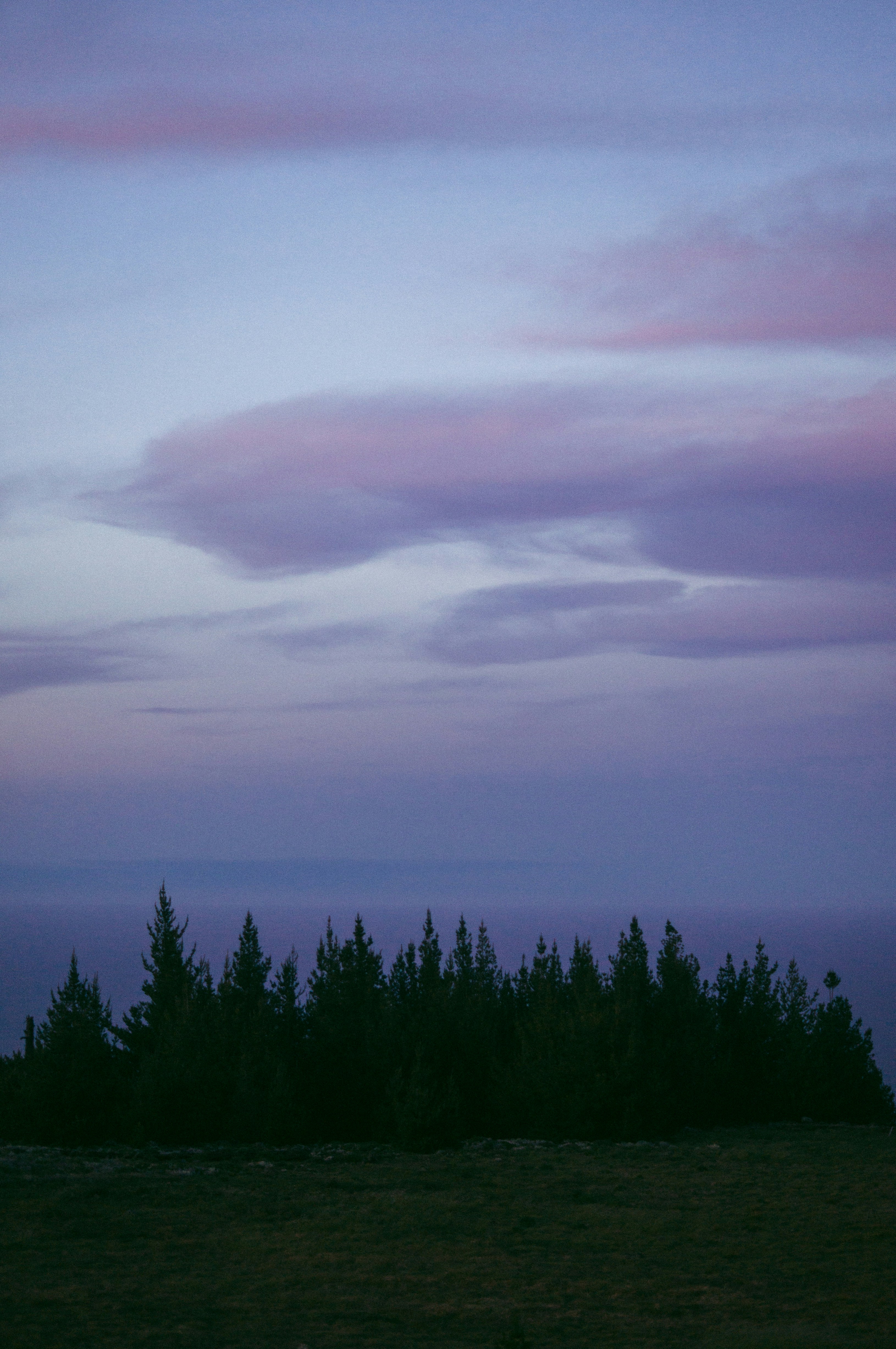 Photo by milo_contreras