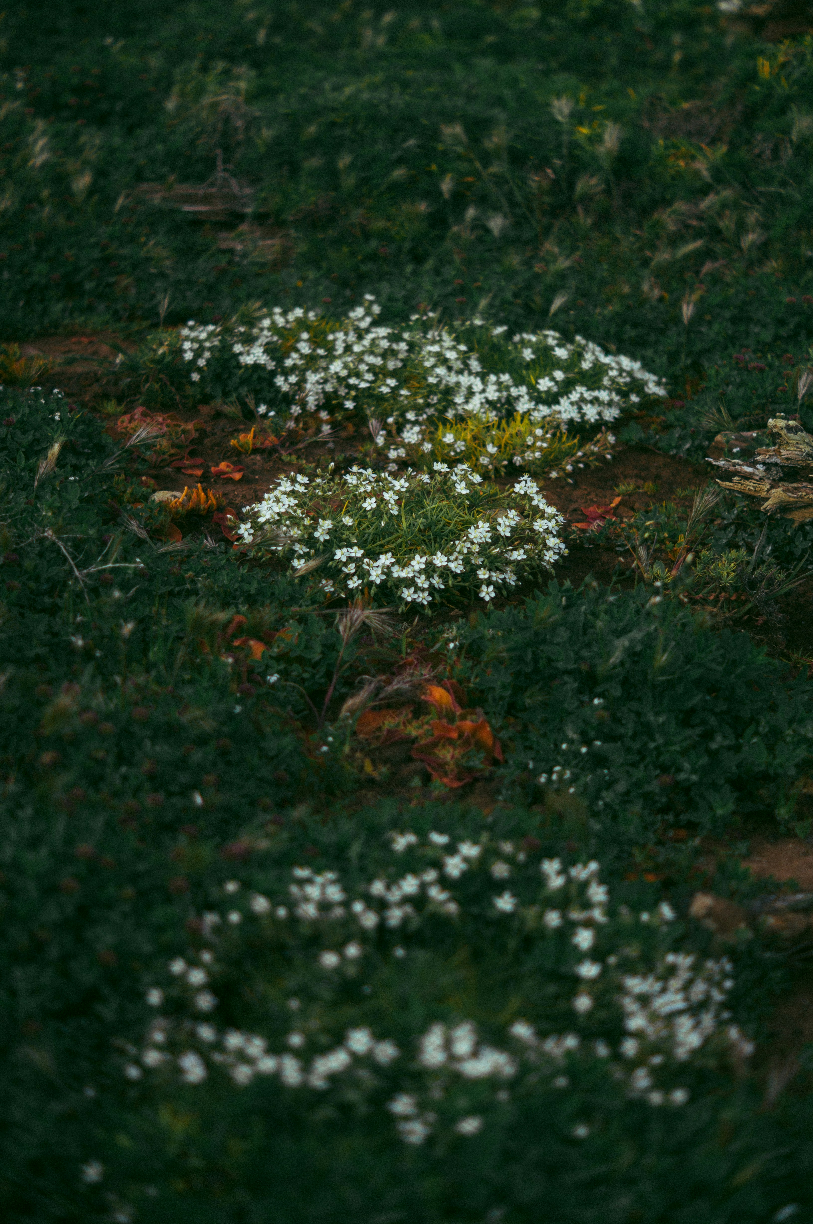 Photo by milo_contreras