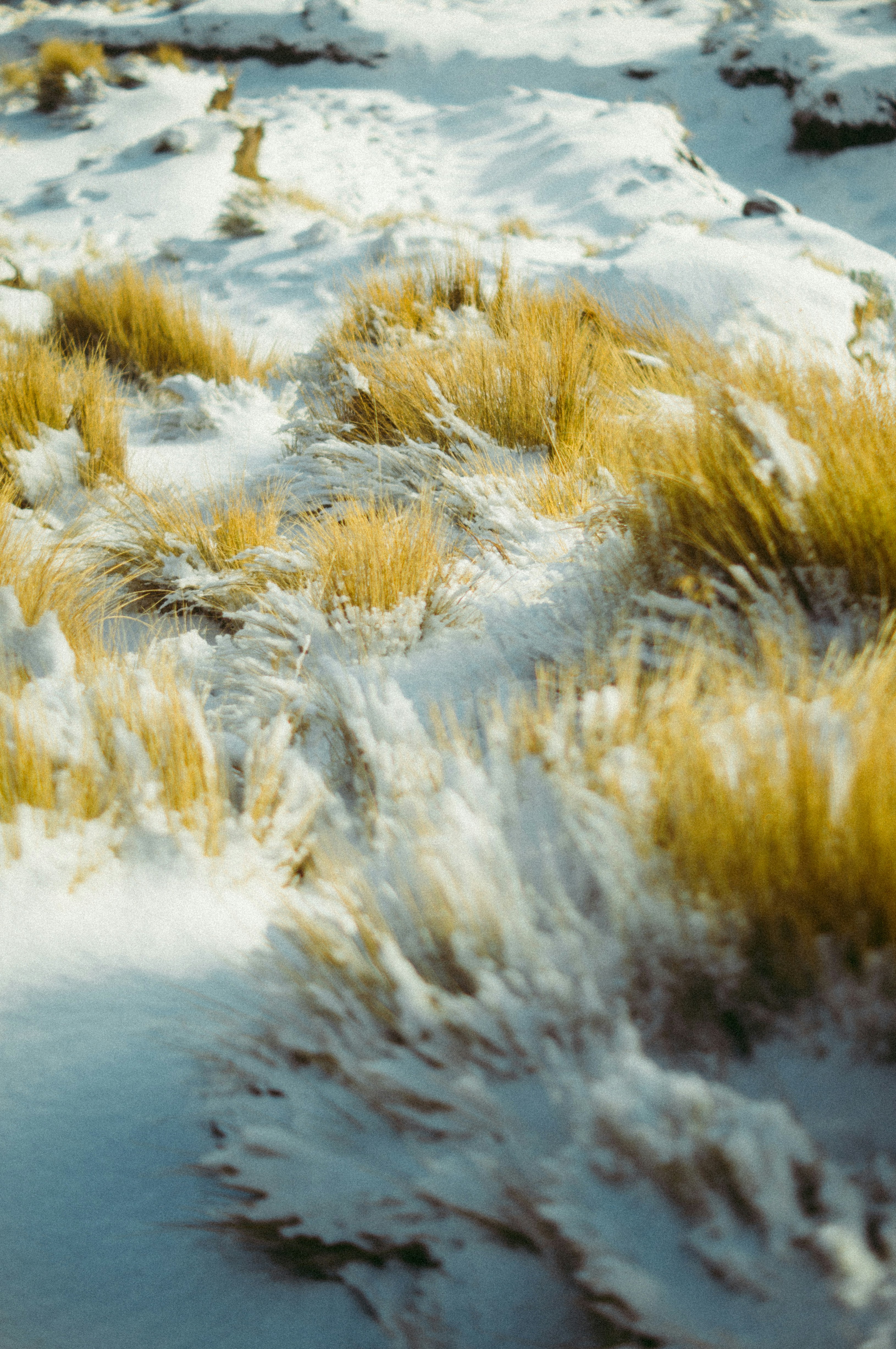 Photo by milo_contreras