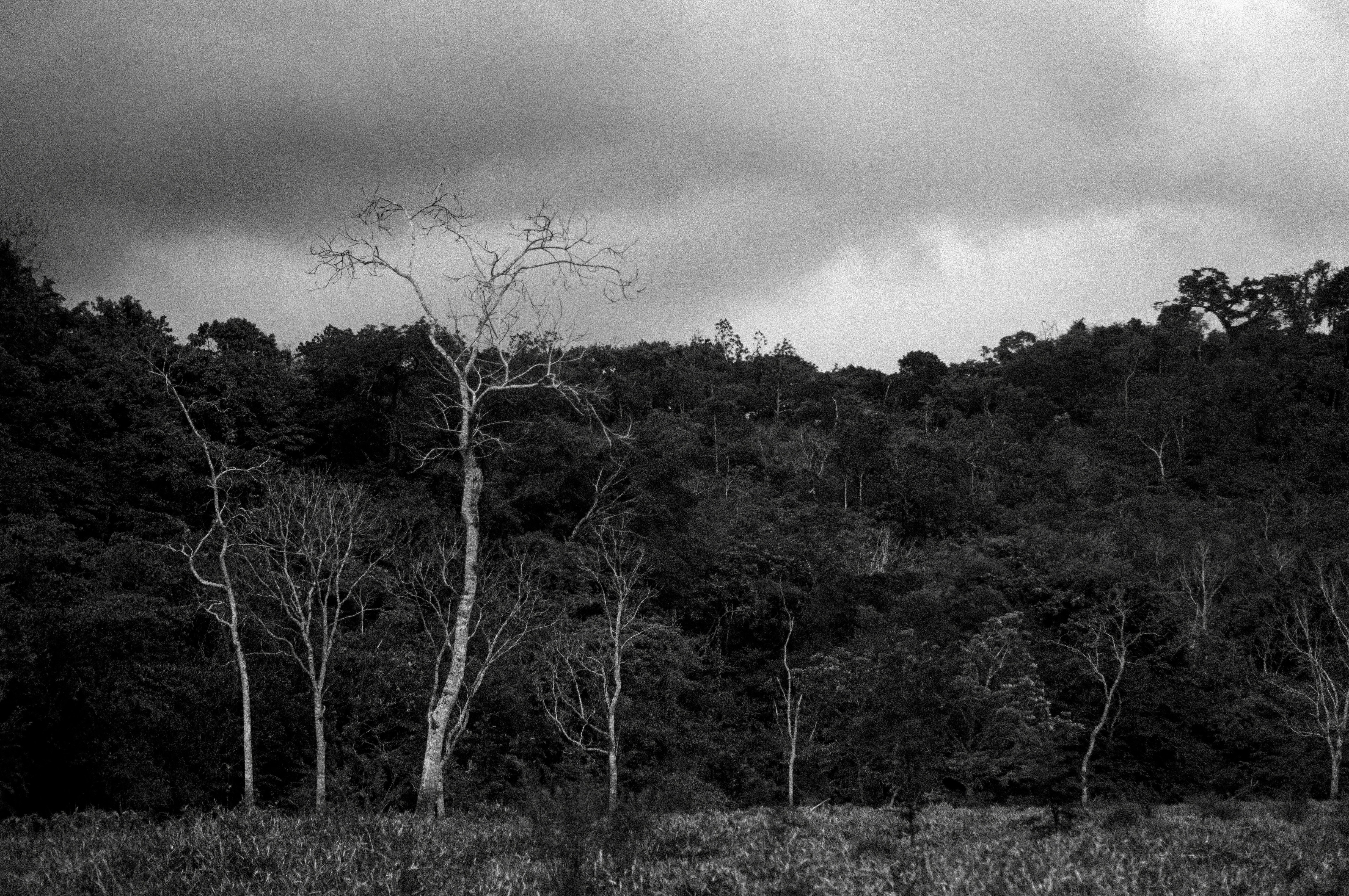 Photo by milo_contreras