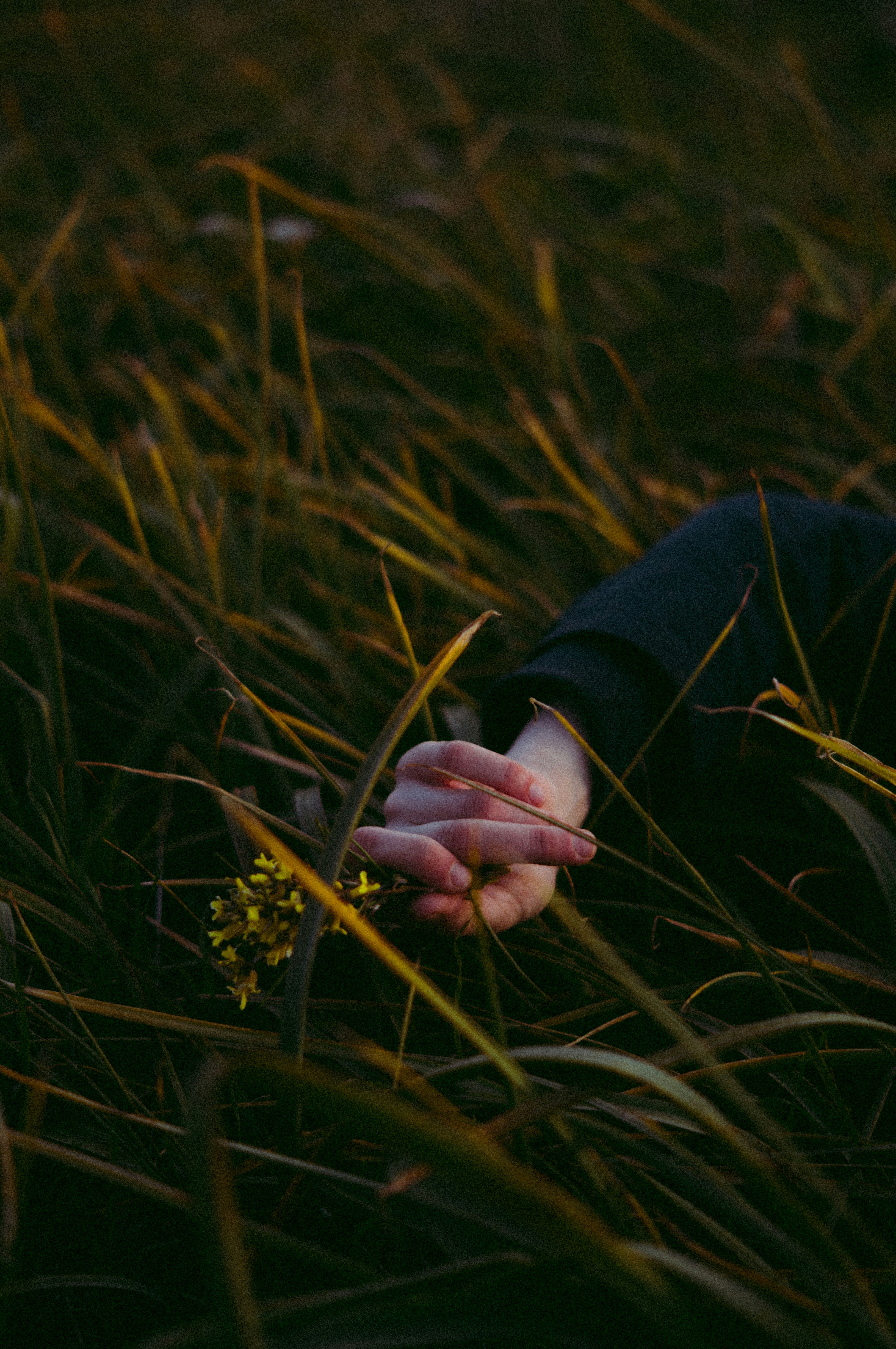 Photo by milo_contreras