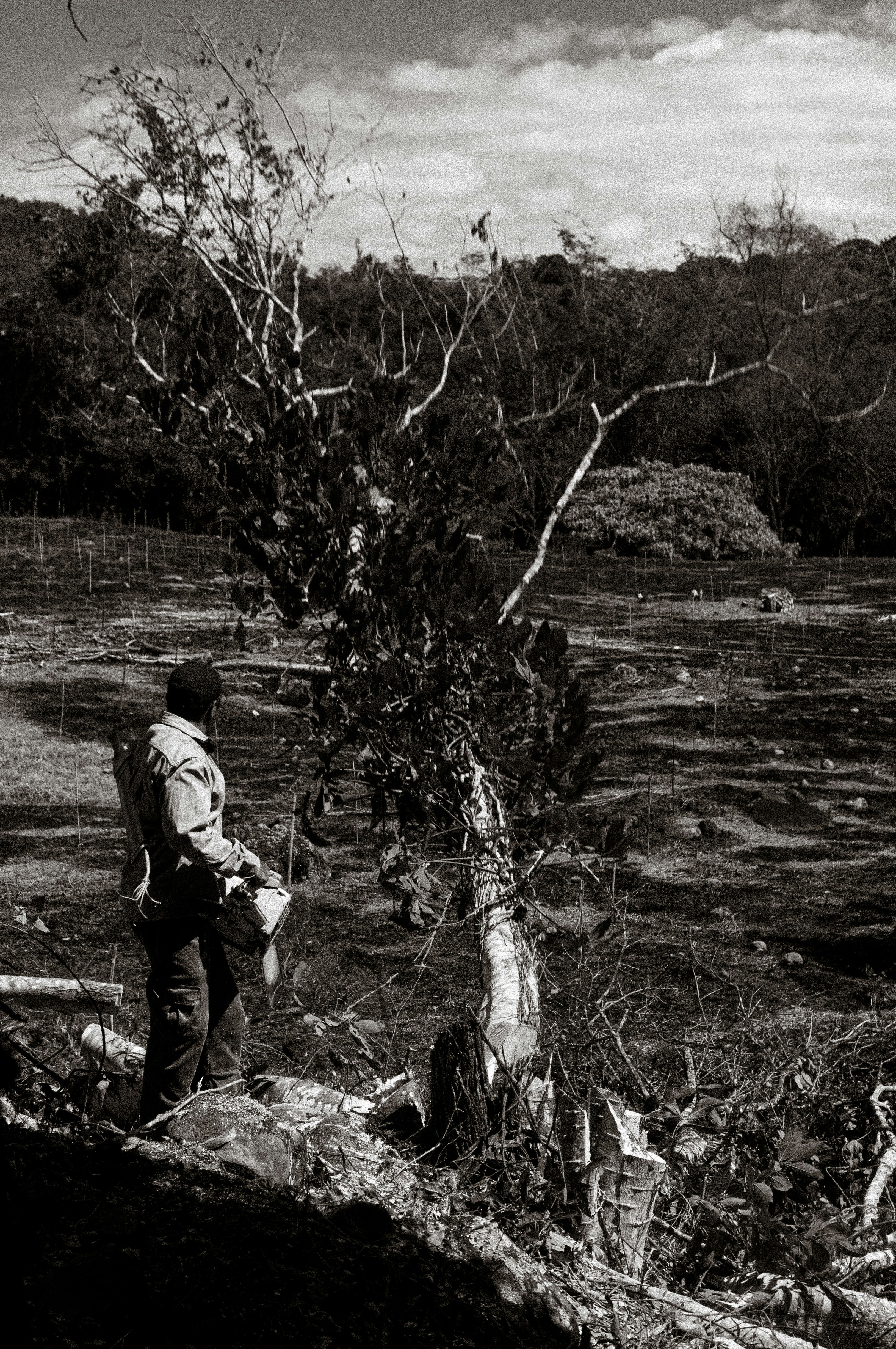 A black and white photo of a man standing next to a tree