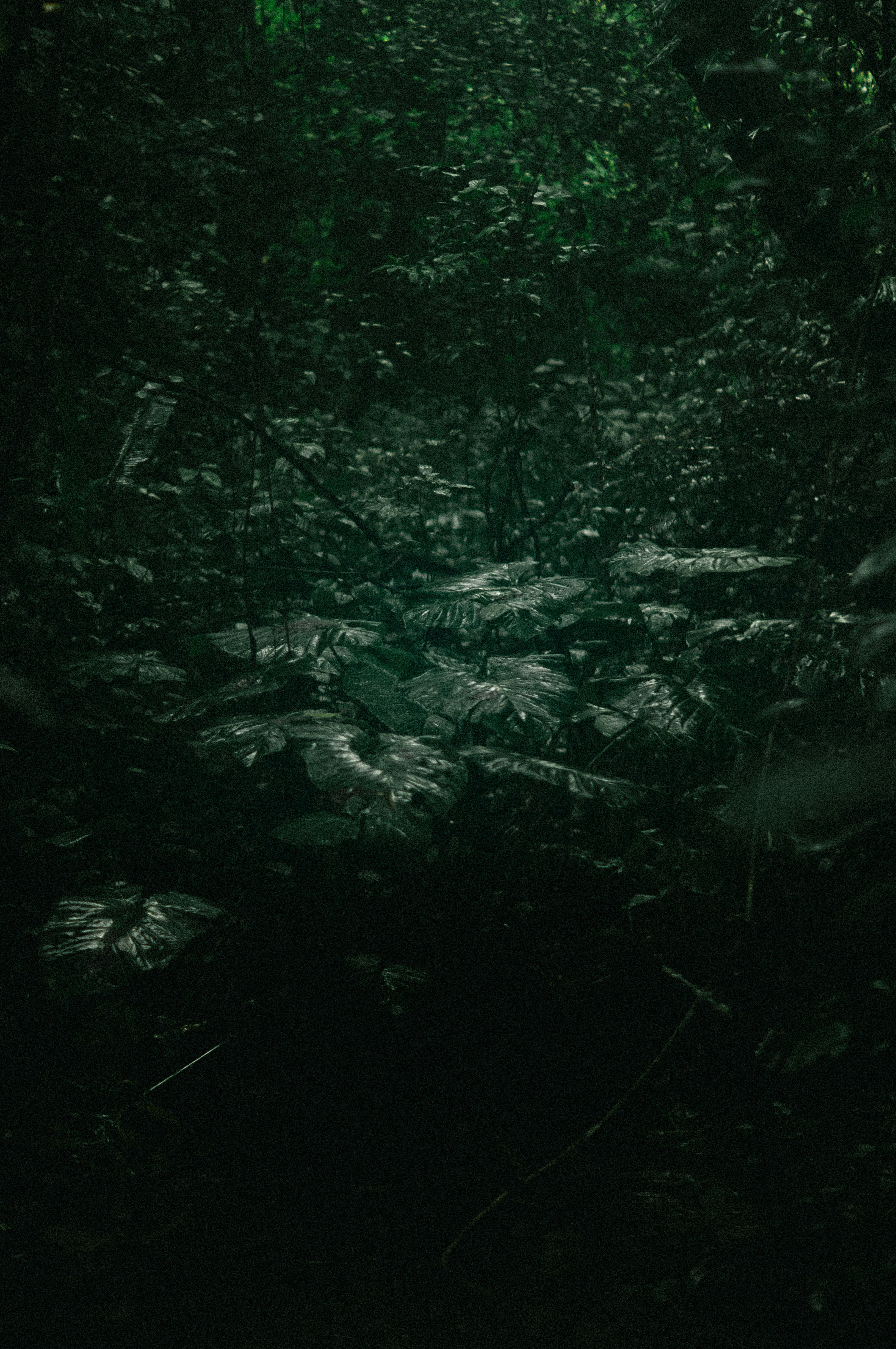 Photo by milo_contreras