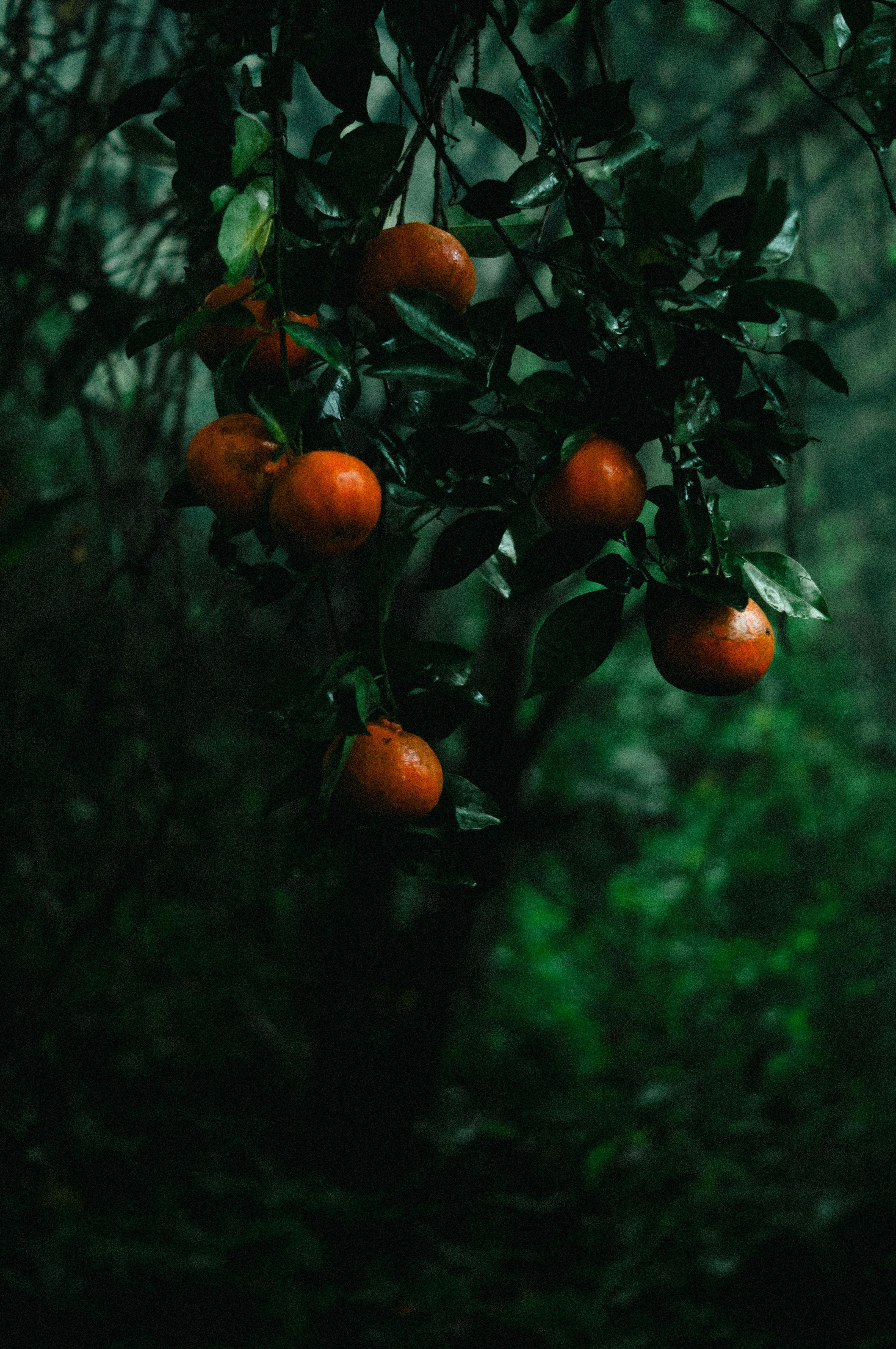 Photo by milo_contreras