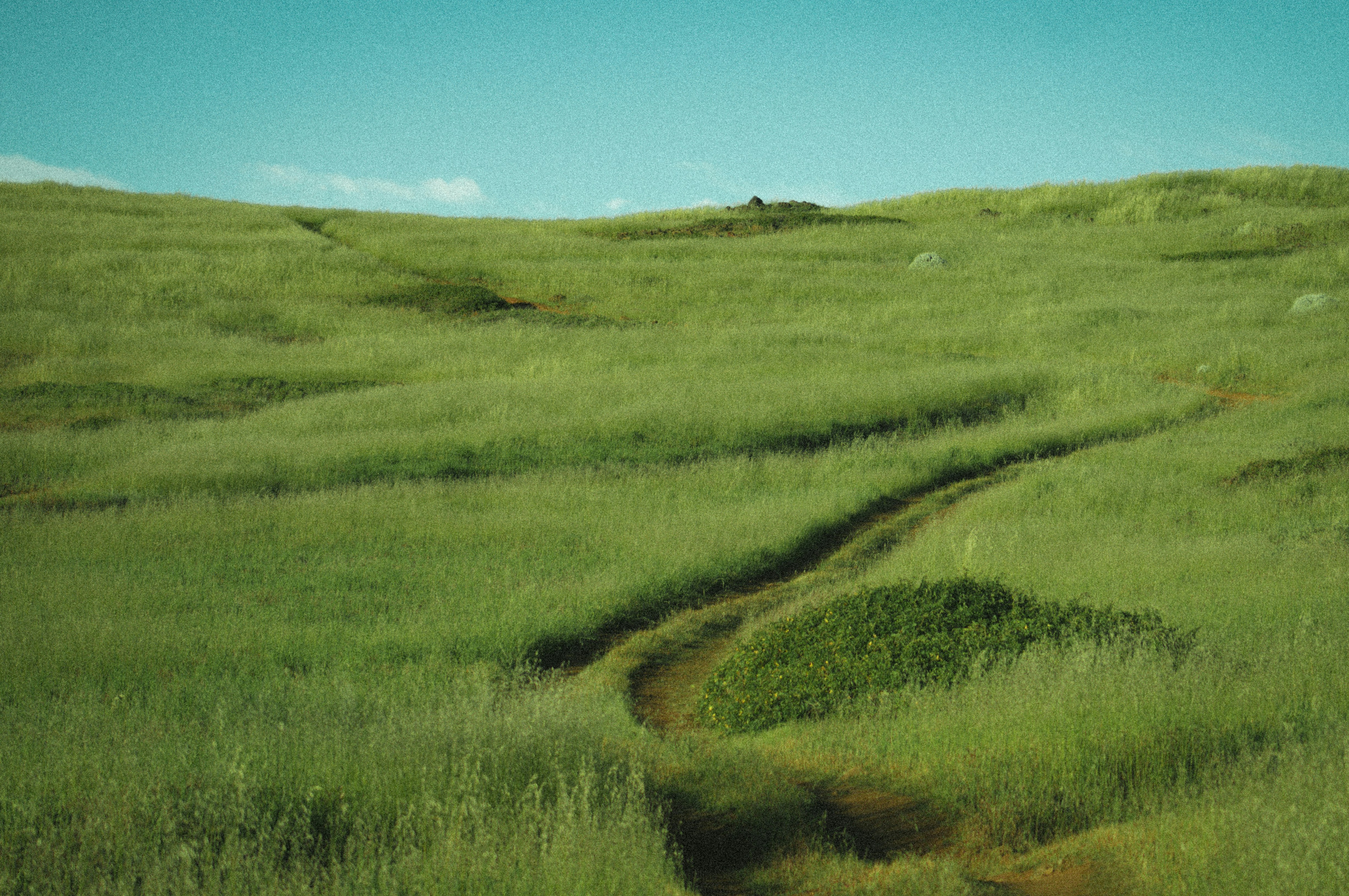 Photo by milo_contreras