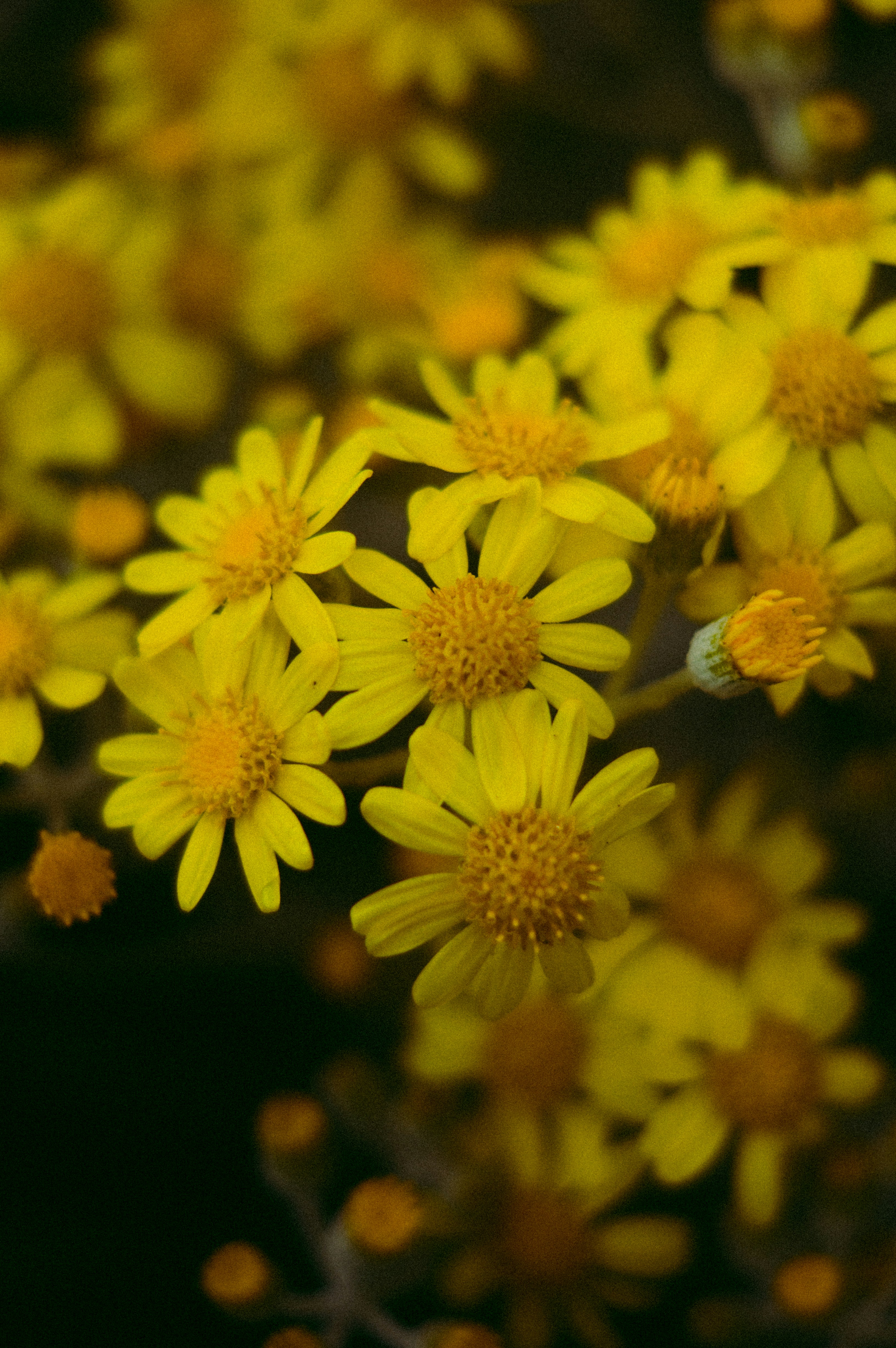 Photo by milo_contreras